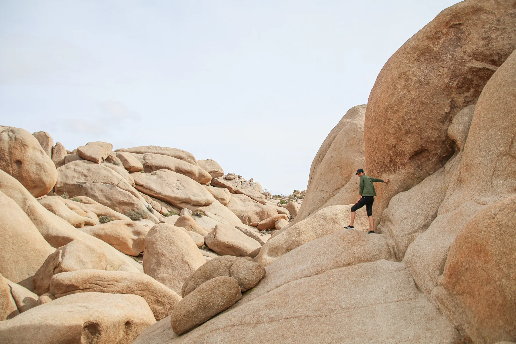 20-CA-joshuatree29.jpg