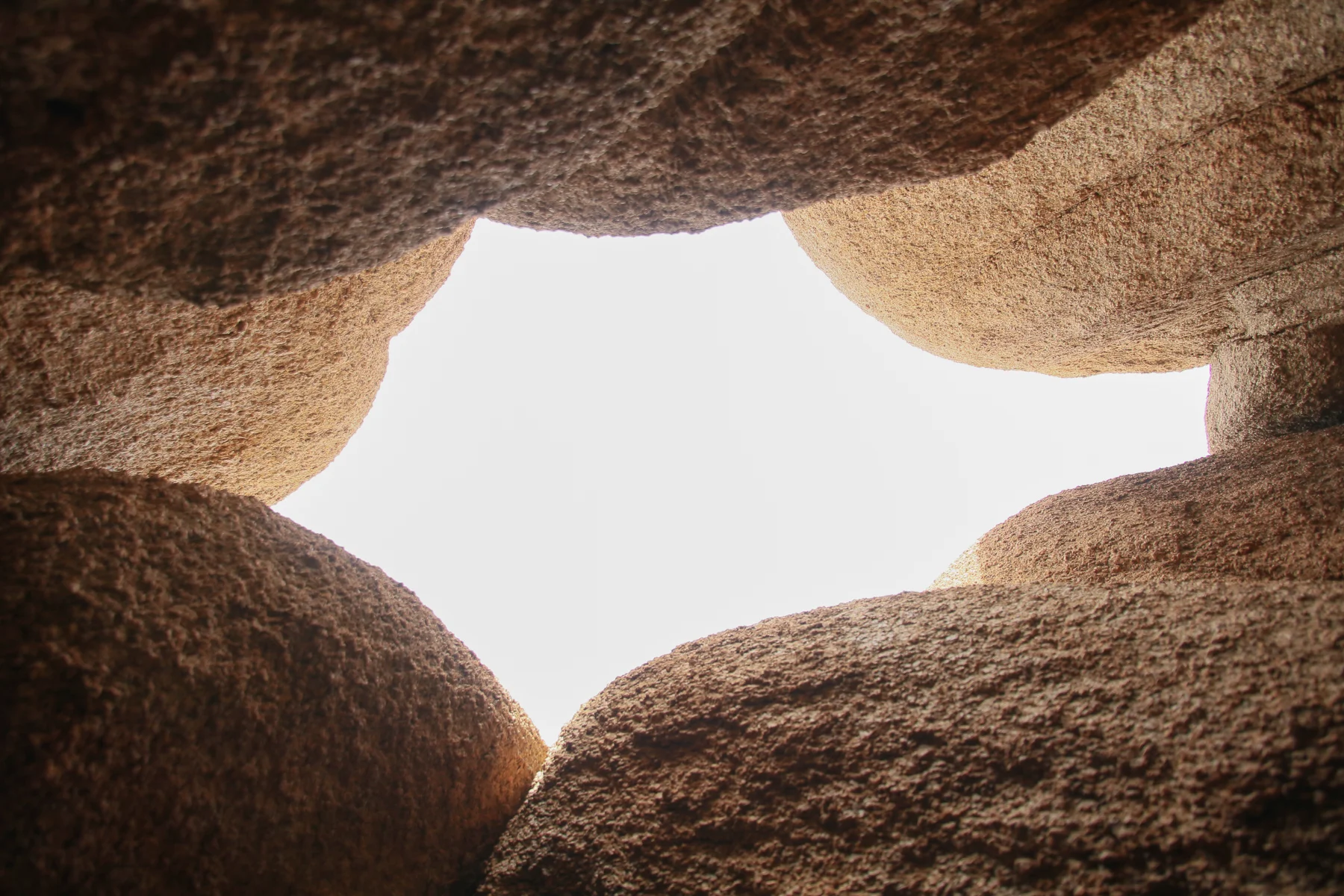 20-CA-joshuatree30.jpg