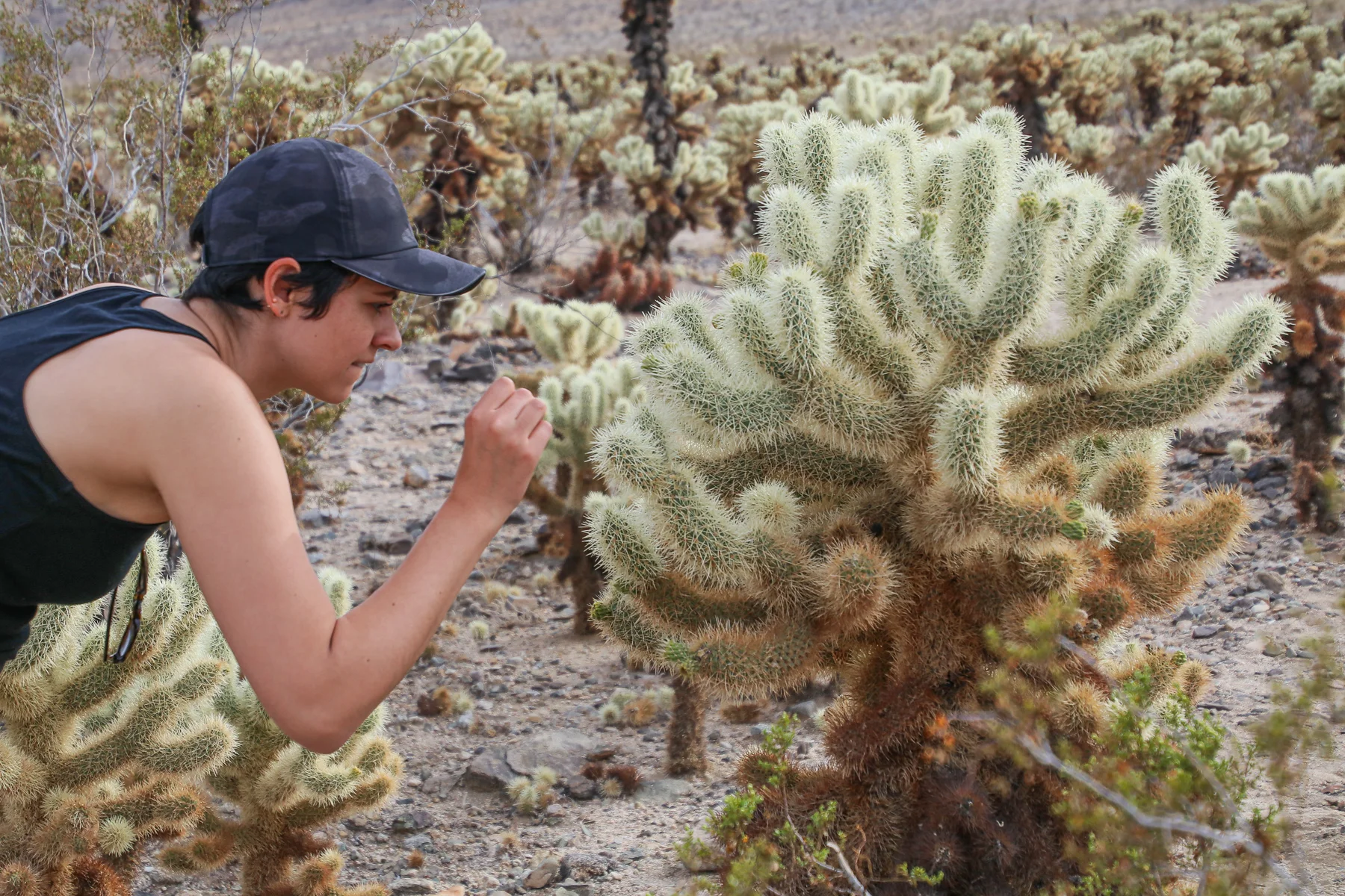 20-CA-joshuatree34.jpg