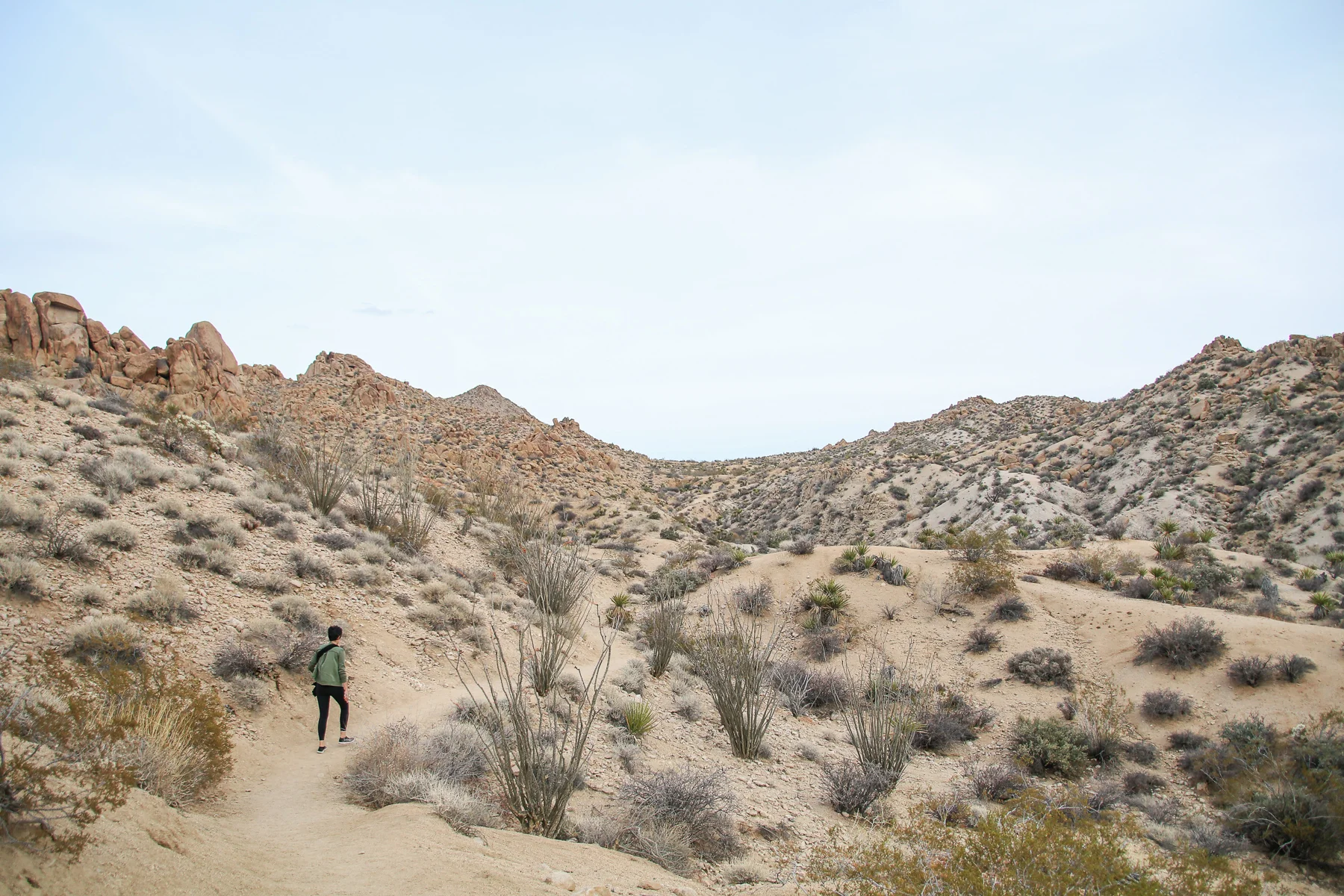 20-CA-joshuatree42.jpg