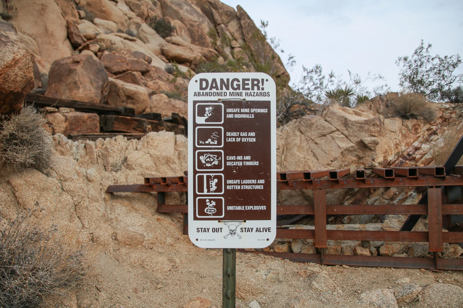 20-CA-joshuatree49.jpg