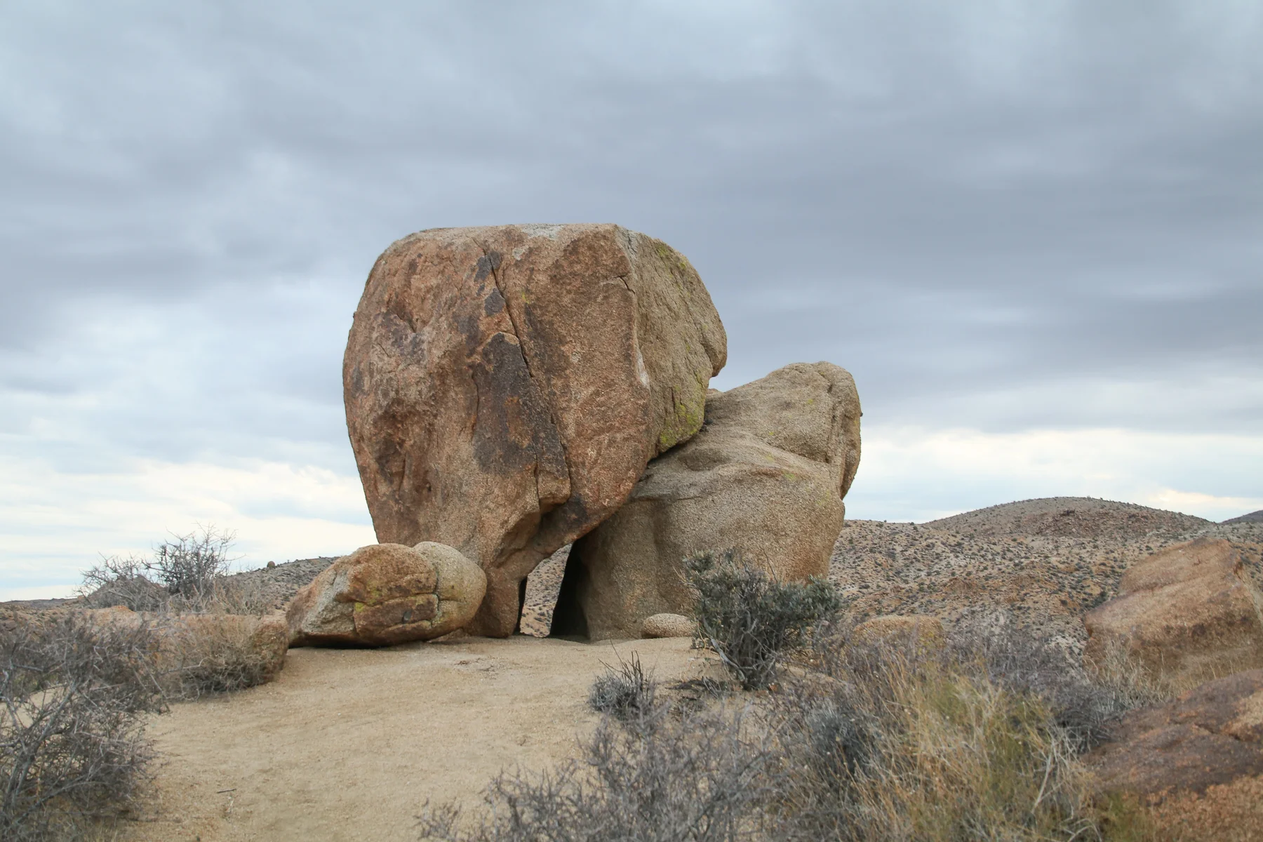 20-CA-joshuatree61.jpg