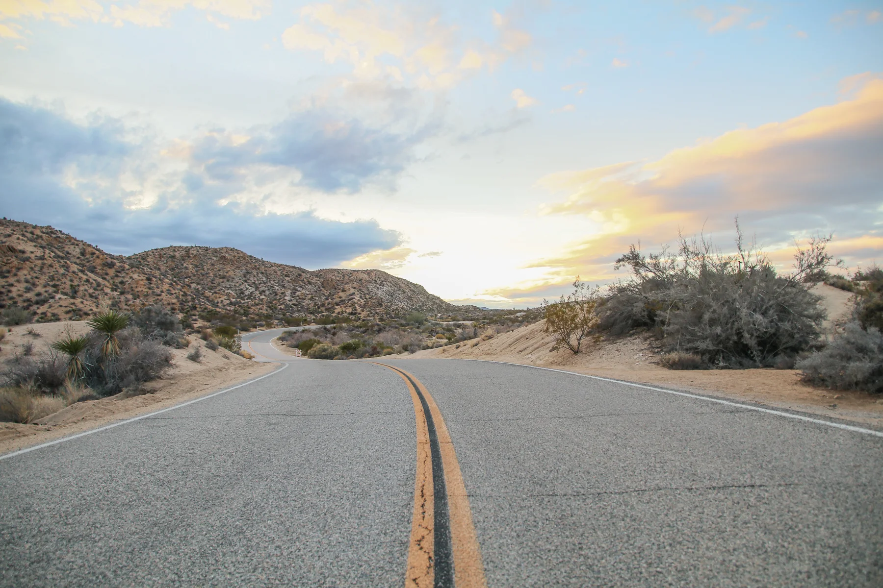20-CA-joshuatree63.jpg