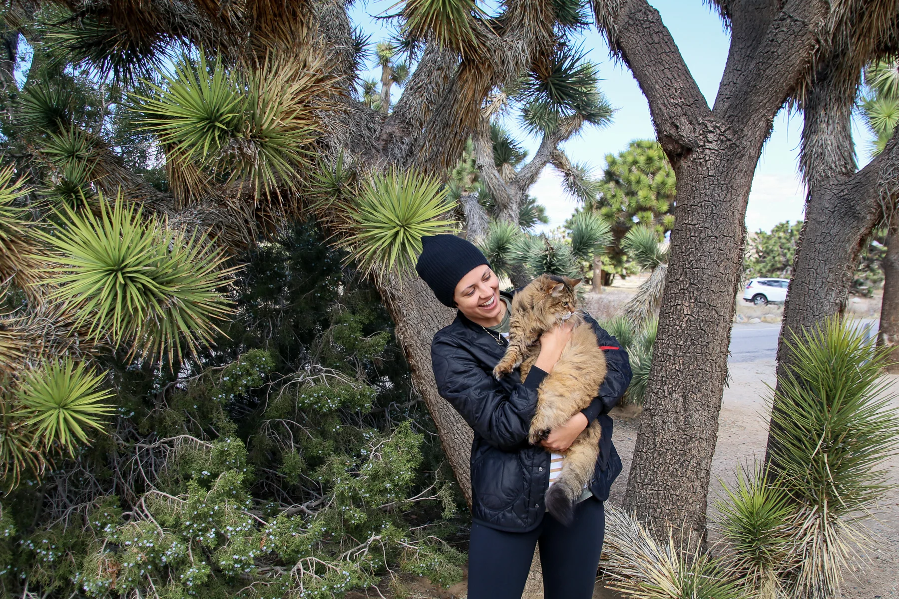 20-CA-joshuatree68b.jpg