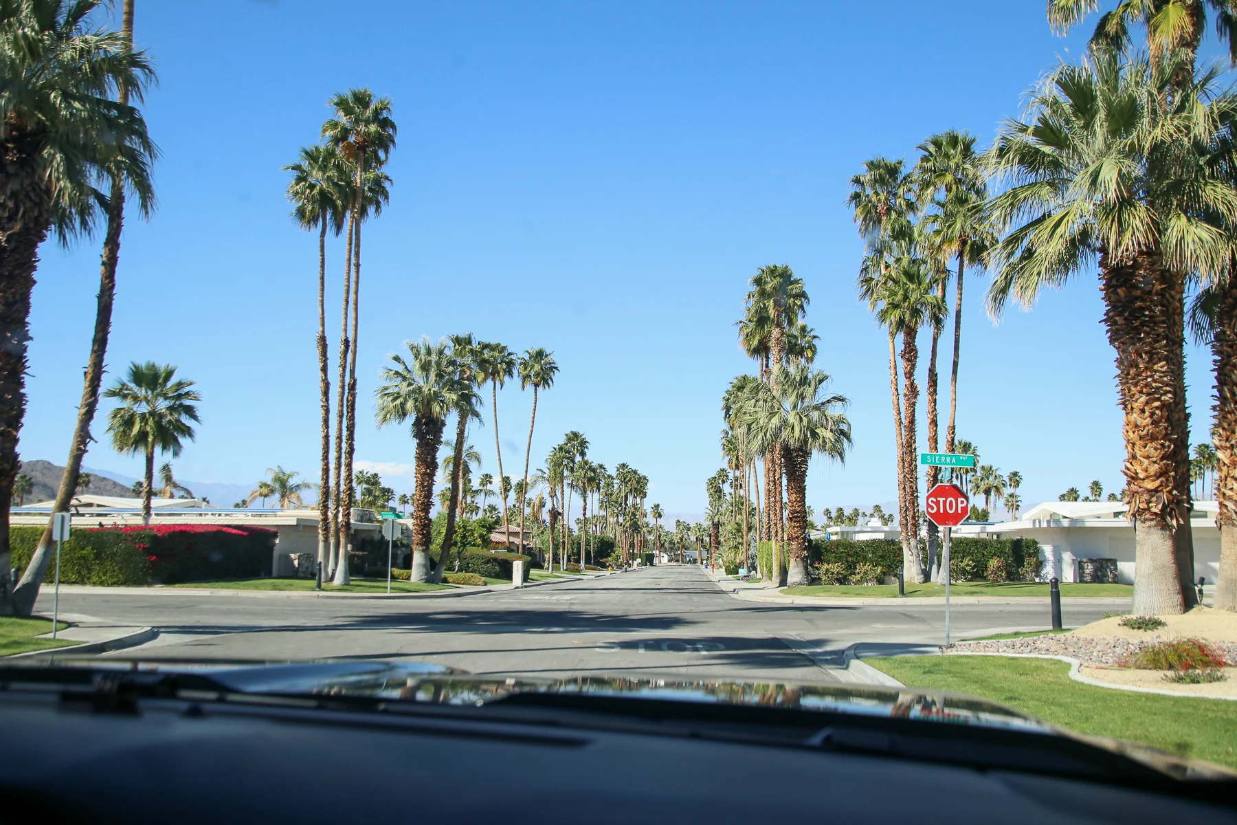 20-CA-palmsprings03.jpg