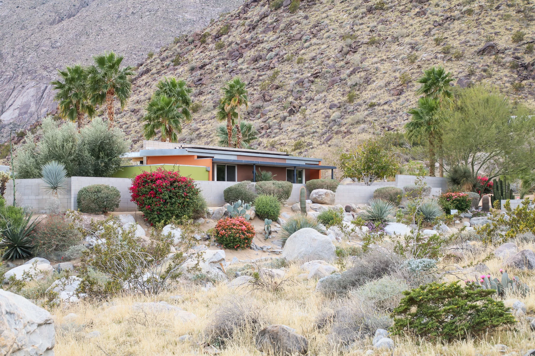 20-CA-palmsprings09.jpg