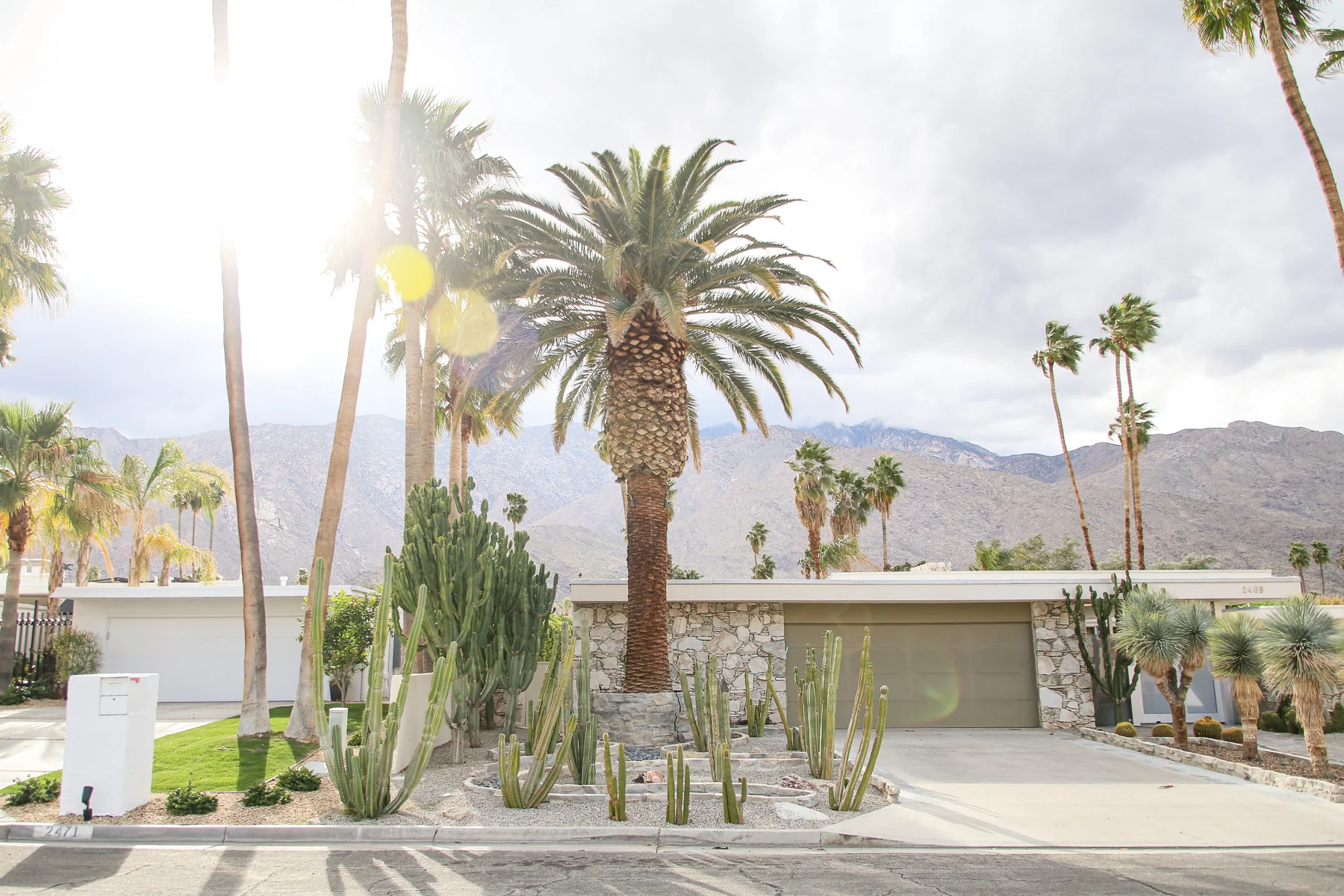 20-CA-palmsprings22.jpg