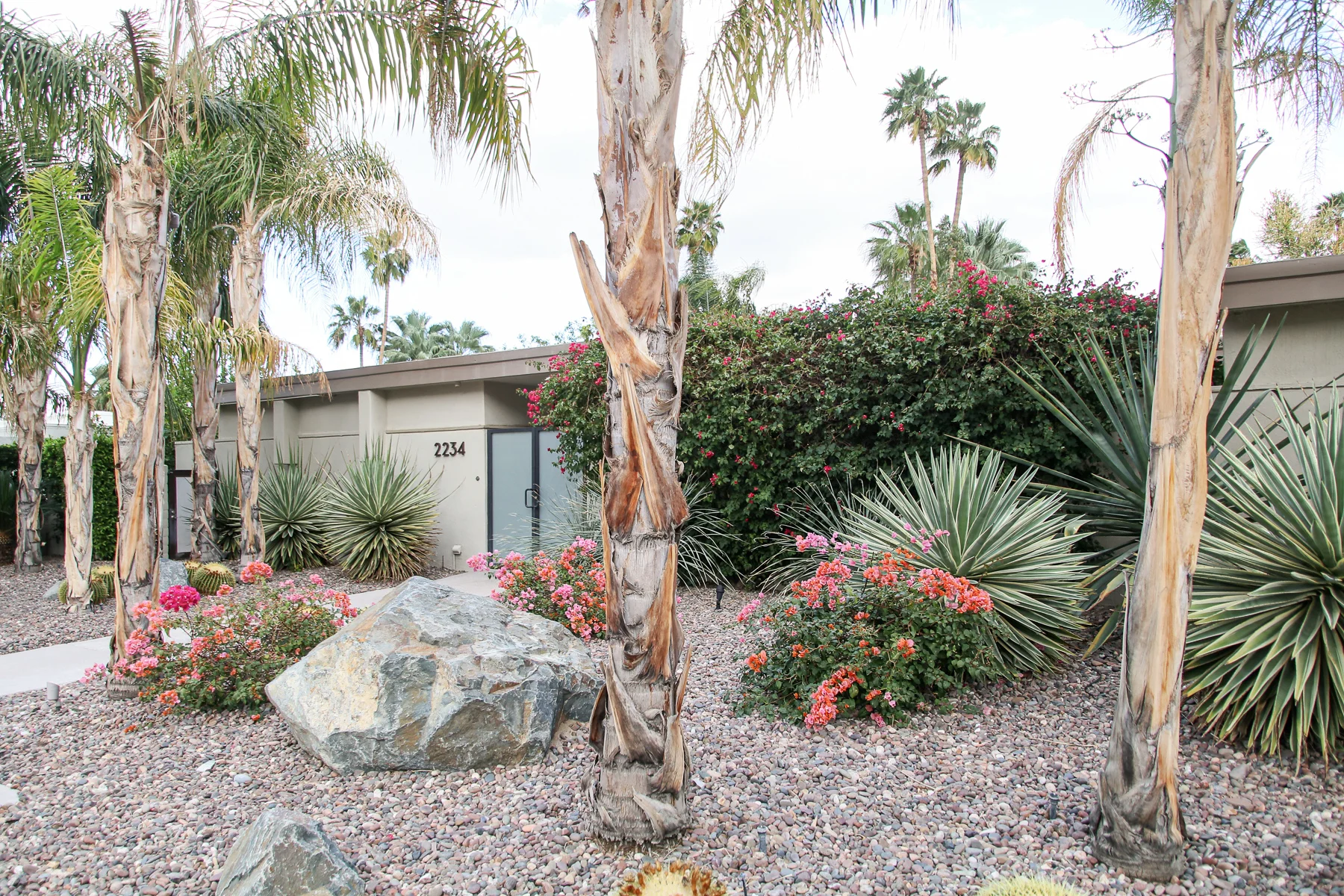 20-CA-palmsprings38.jpg