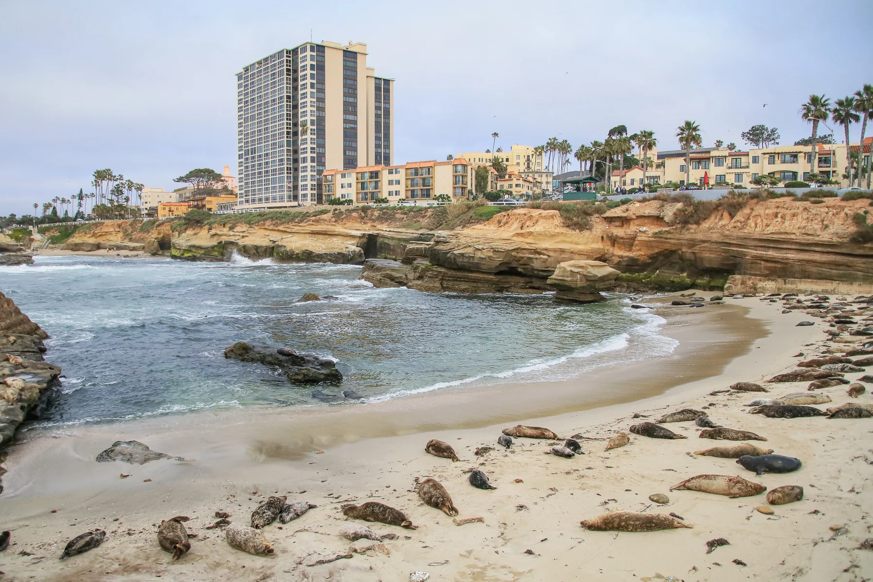 20-CA-sandiego51.jpg