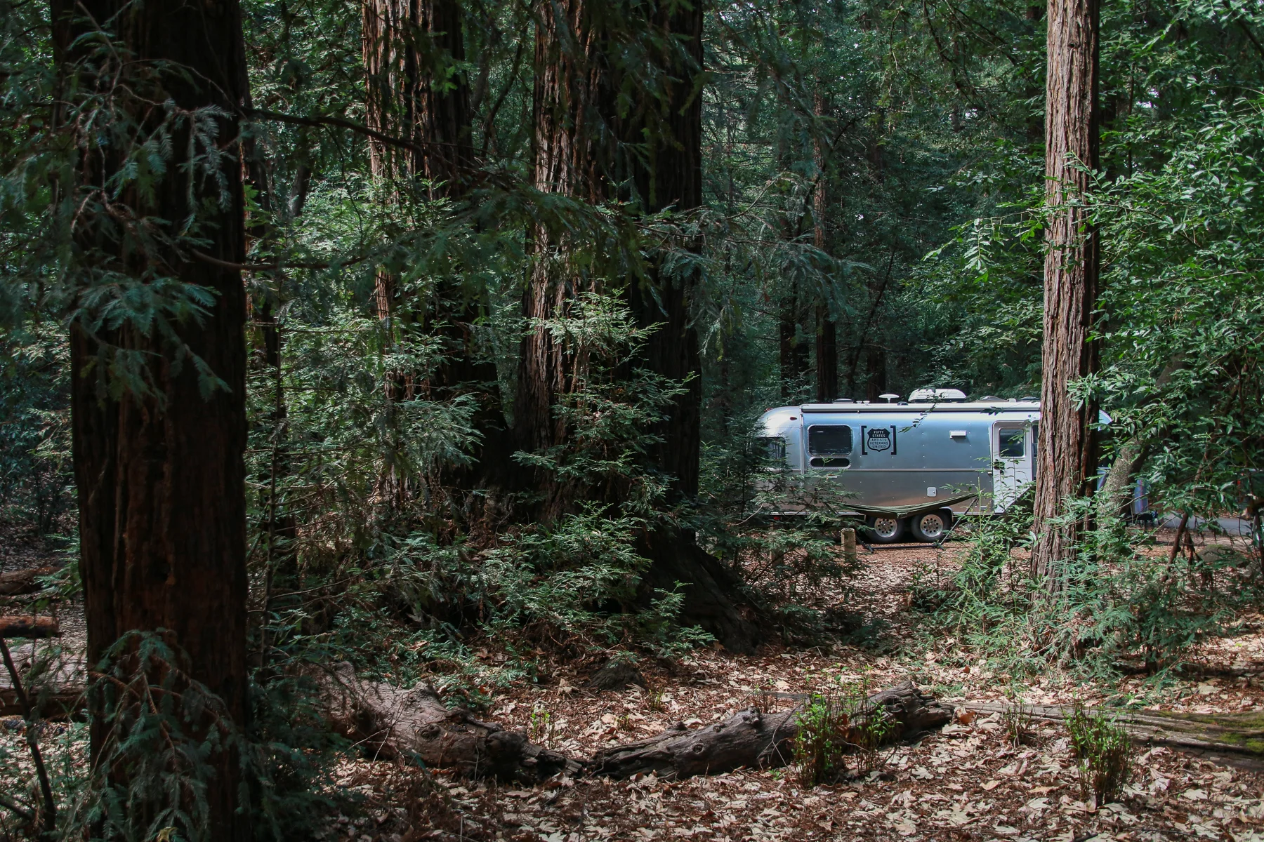 20-CA-bigsur33.jpg