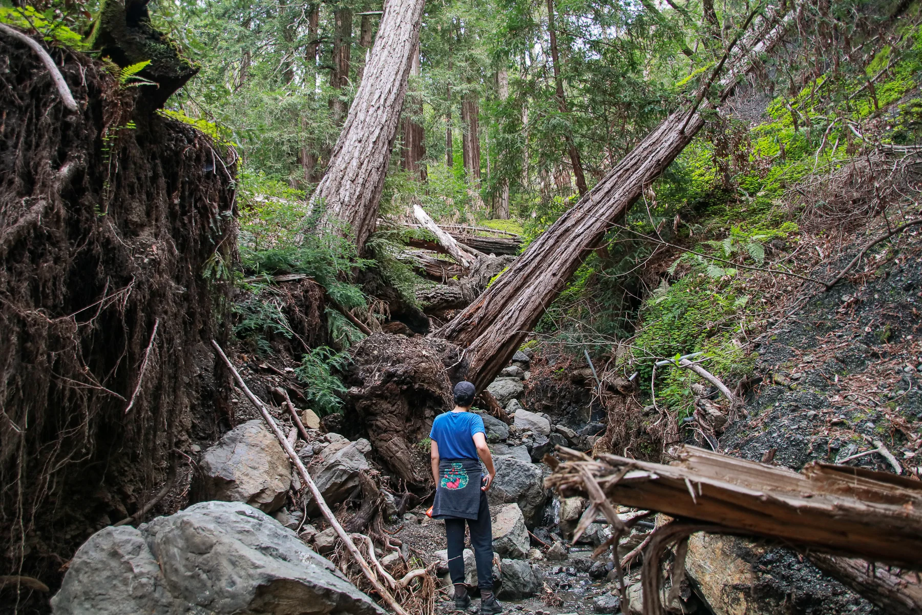 20-CA-bigsur40.jpg