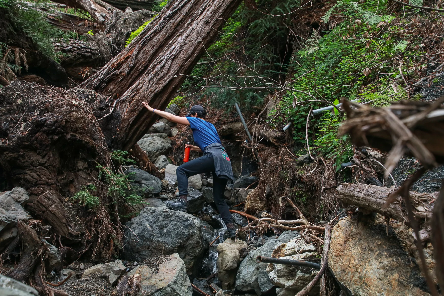 20-CA-bigsur41.jpg