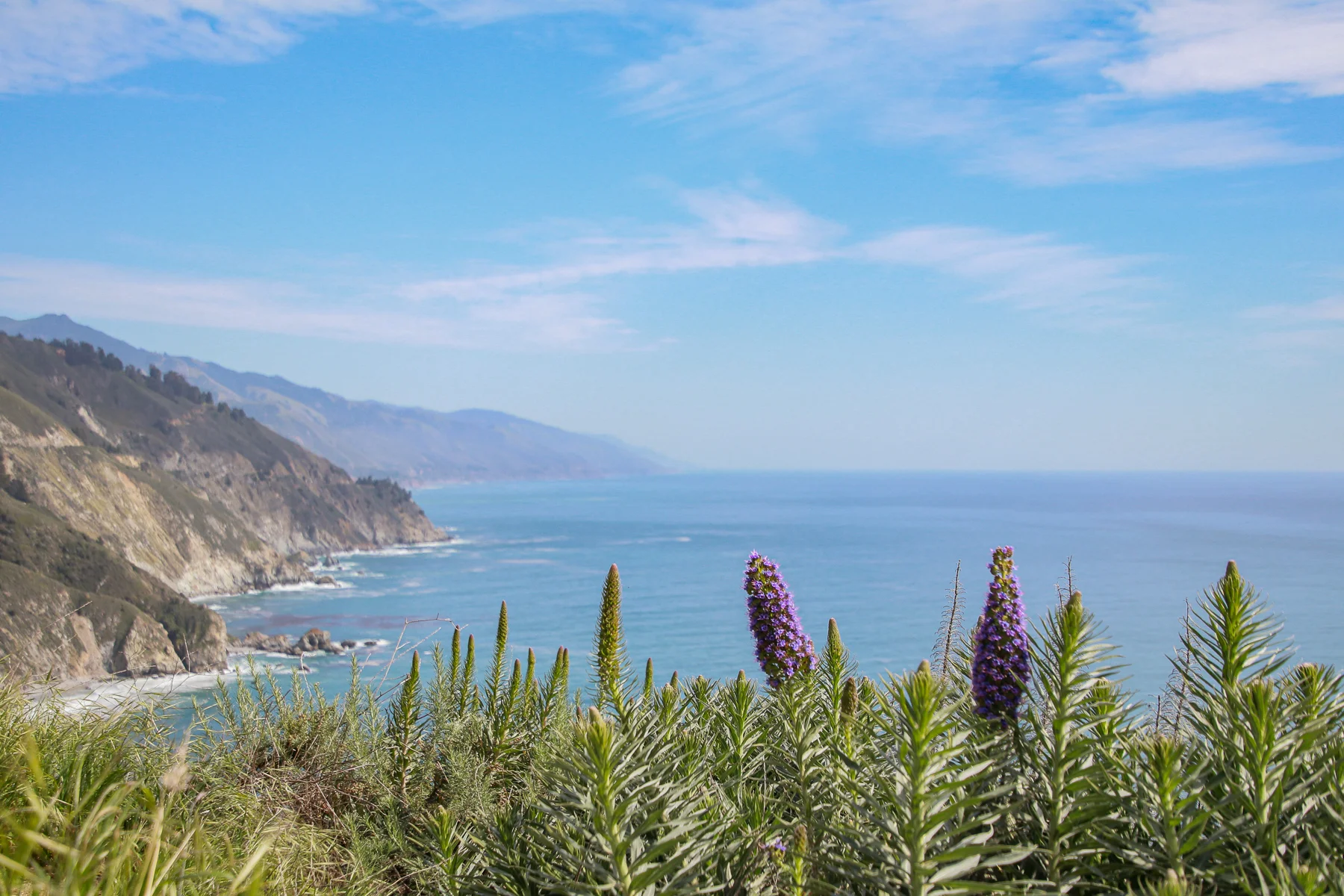 20-CA-bigsur09.jpg