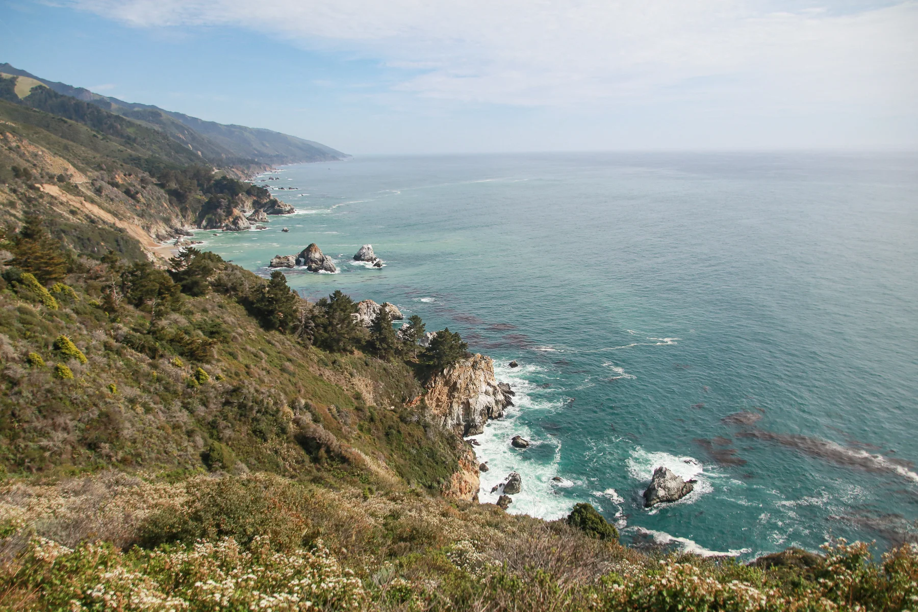 20-CA-bigsur11.jpg