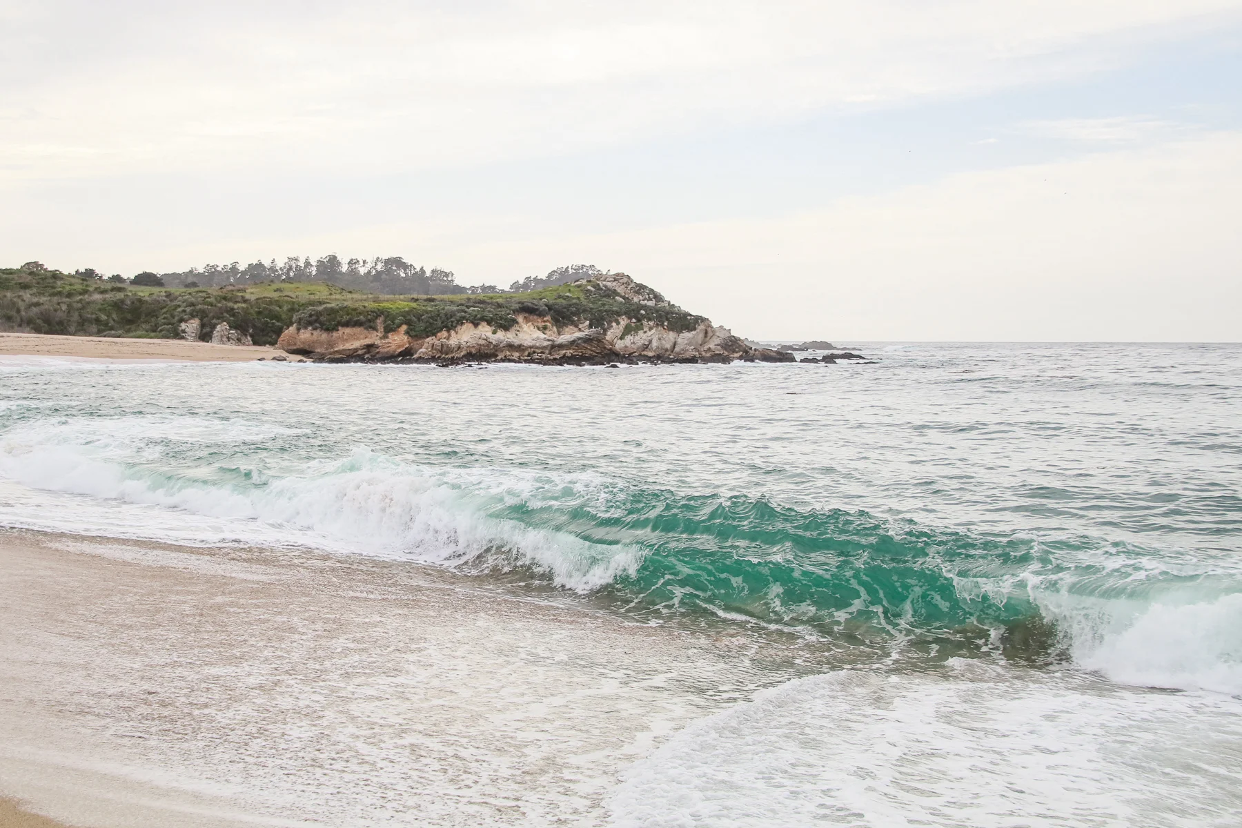 20-CA-bigsur62c.jpg