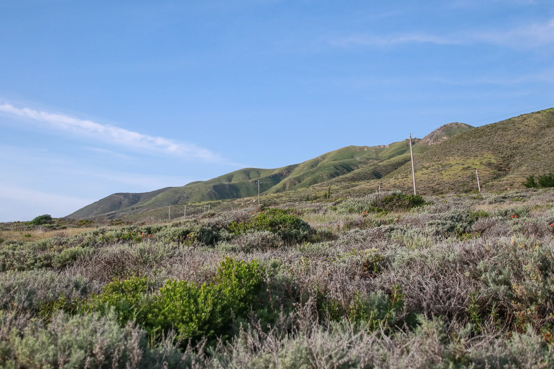 20-CA-bigsur71.jpg