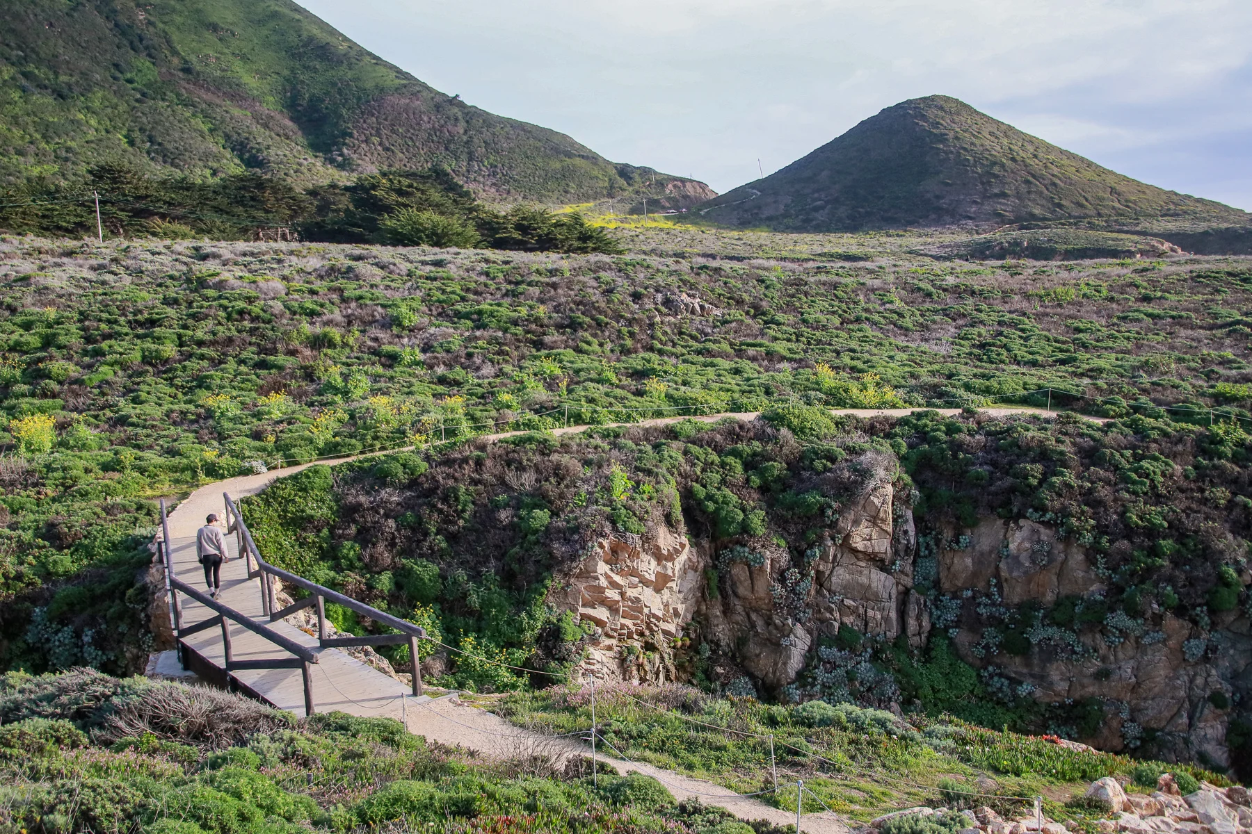 20-CA-bigsur73b.jpg