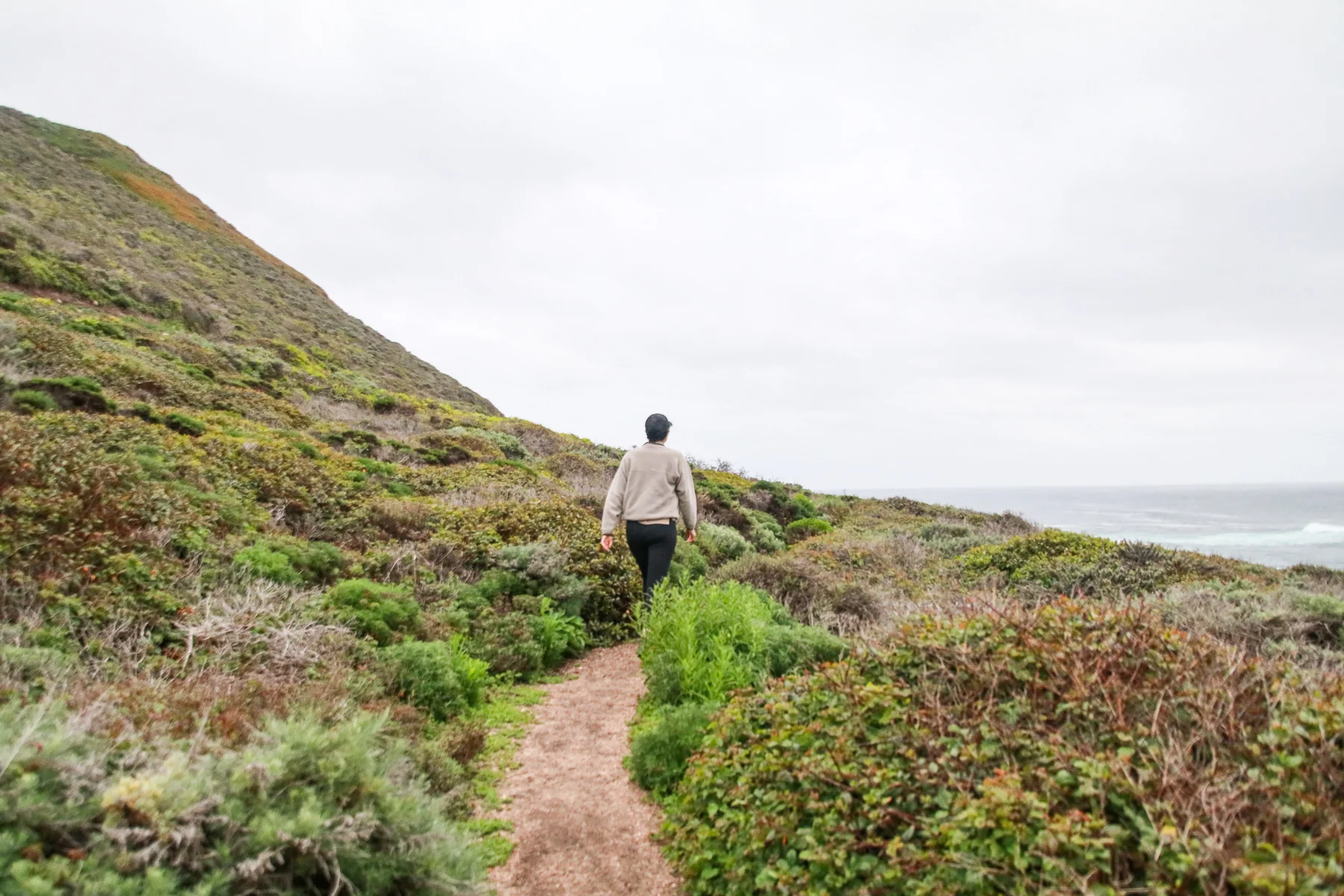 20-CA-bigsur80d.jpg