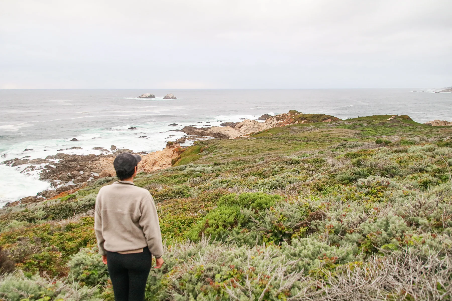 20-CA-bigsur80.jpg