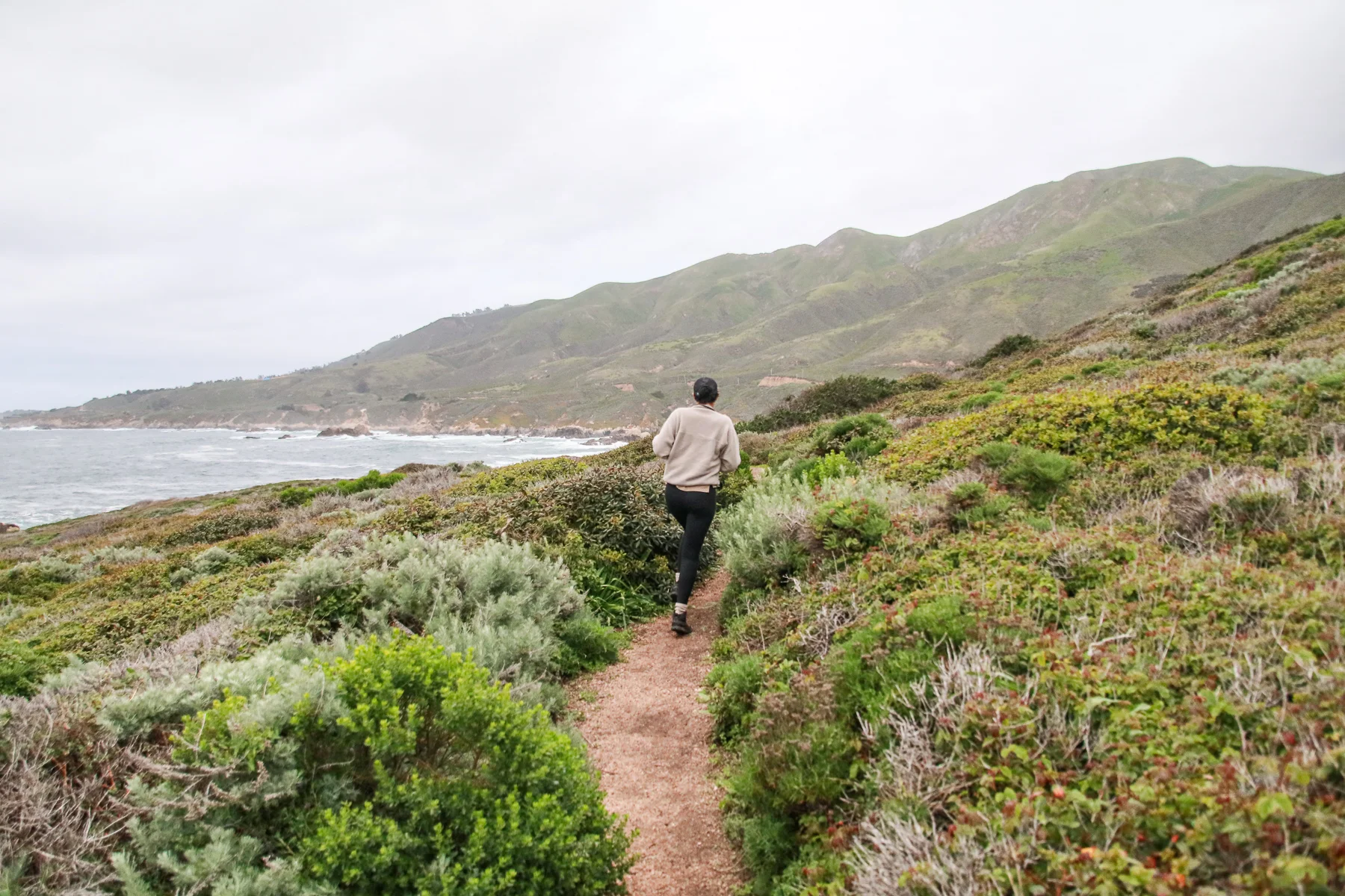 20-CA-bigsur80f.jpg