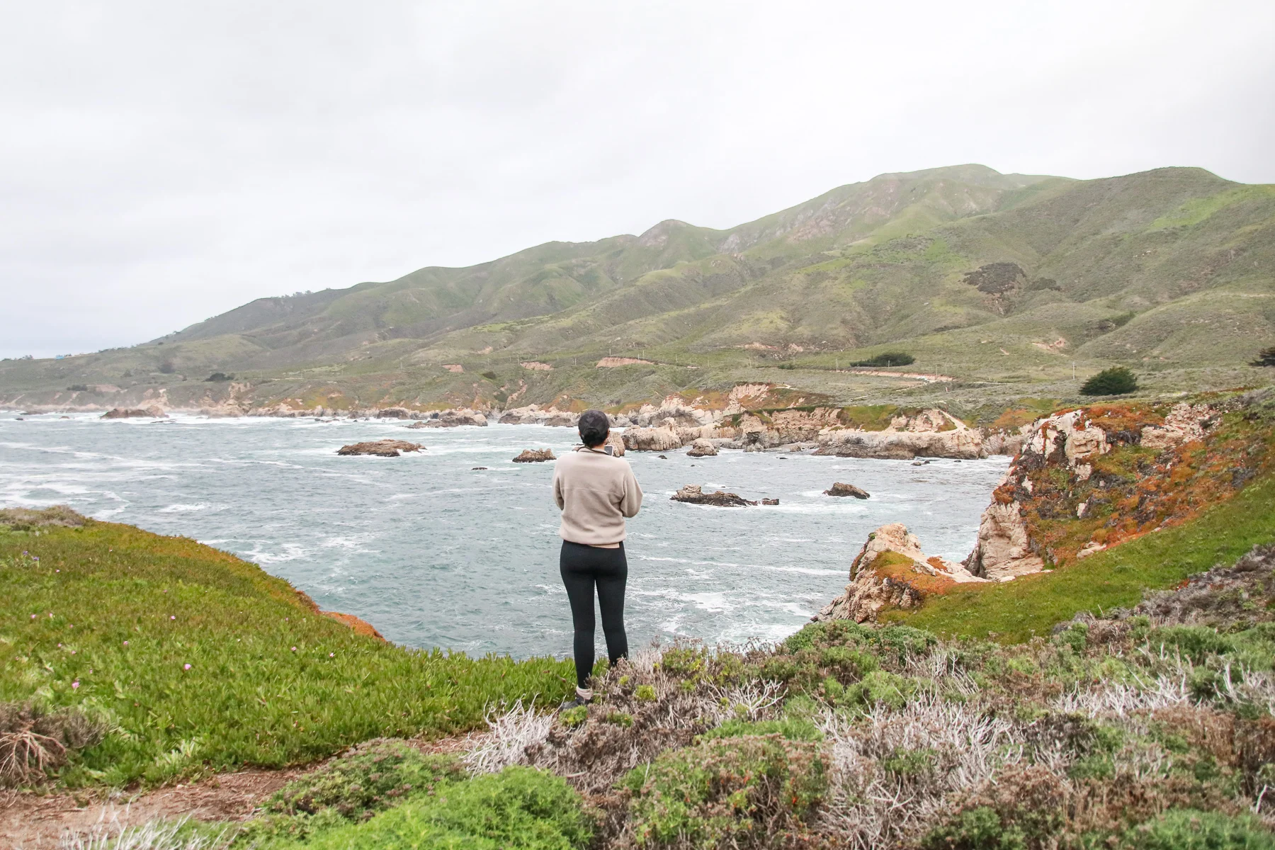 20-CA-bigsur80g.jpg