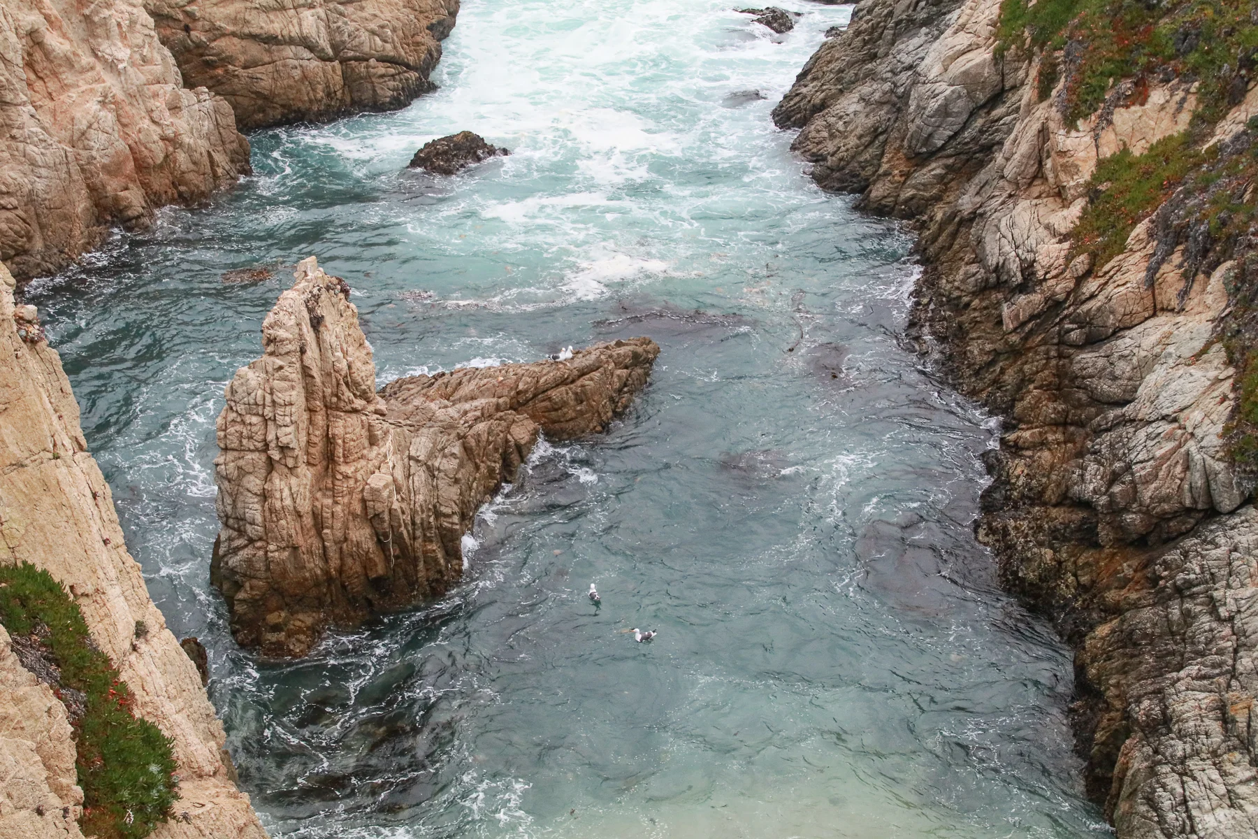 20-CA-bigsur82.jpg