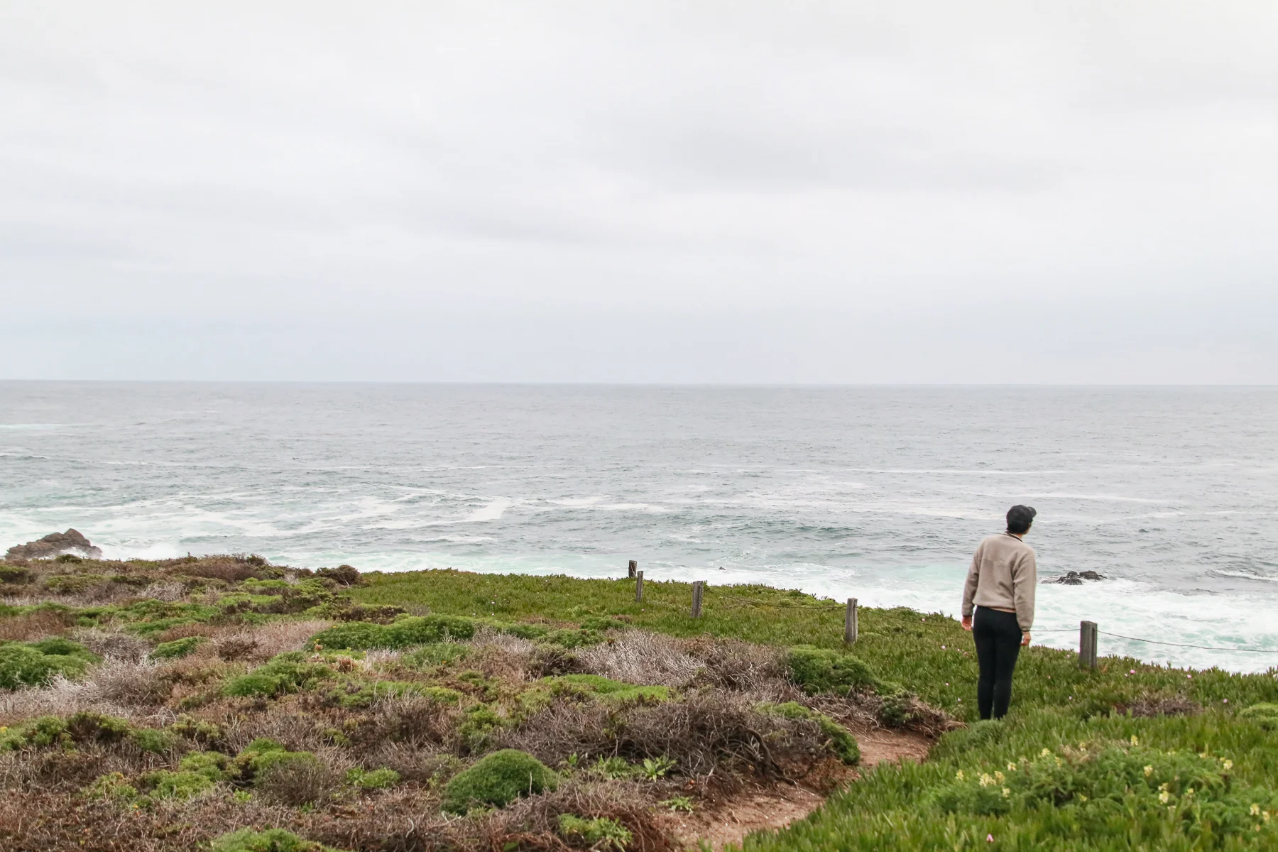 20-CA-bigsur84.jpg