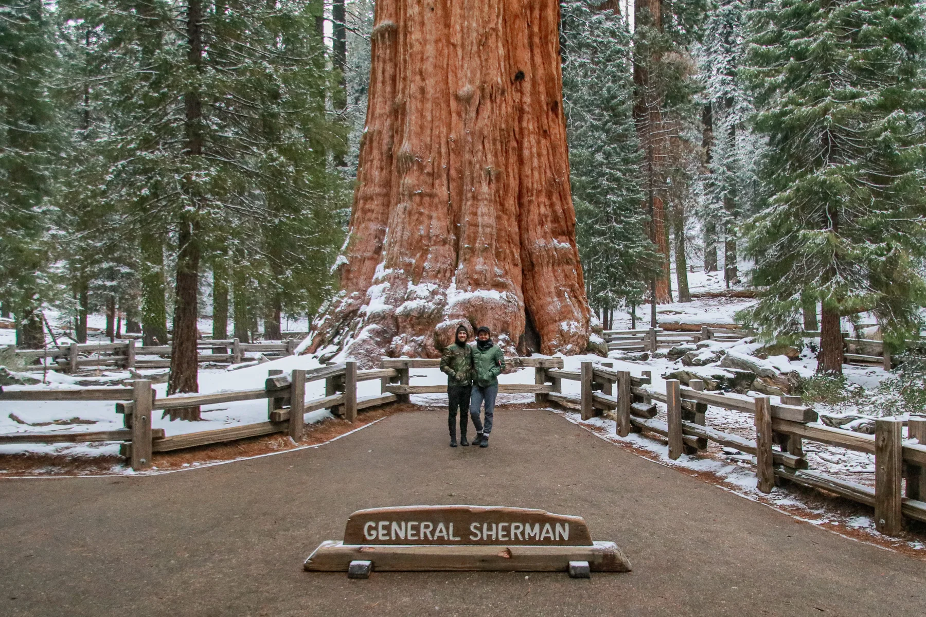 20-CA-sequoia20.jpg