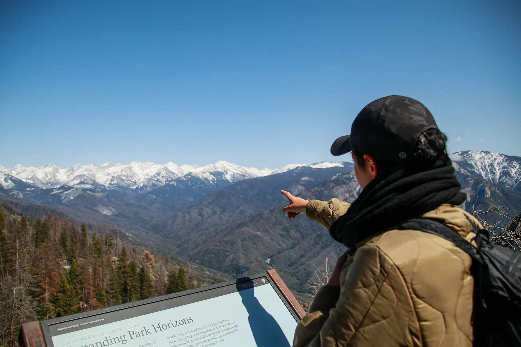20-CA-sequoia48.jpg