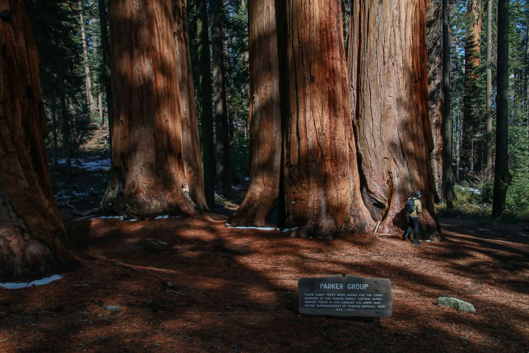 20-CA-sequoia70e.jpg