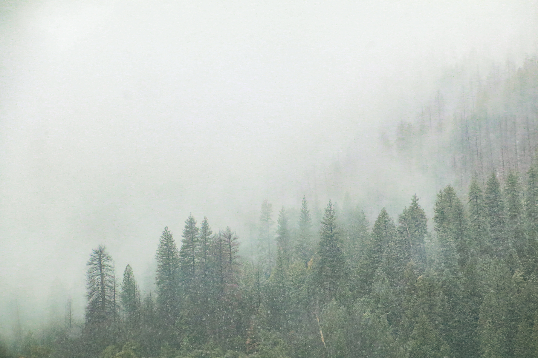 20-CA-yosemite04.jpg