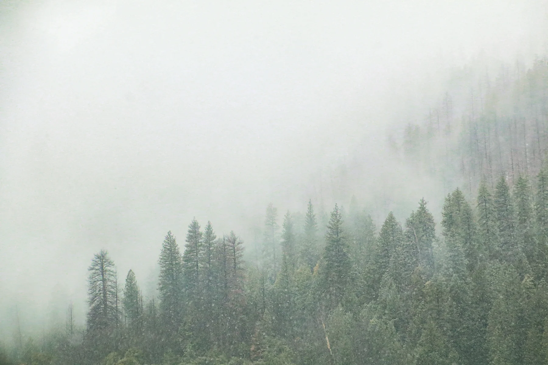 20-CA-yosemite04.jpg