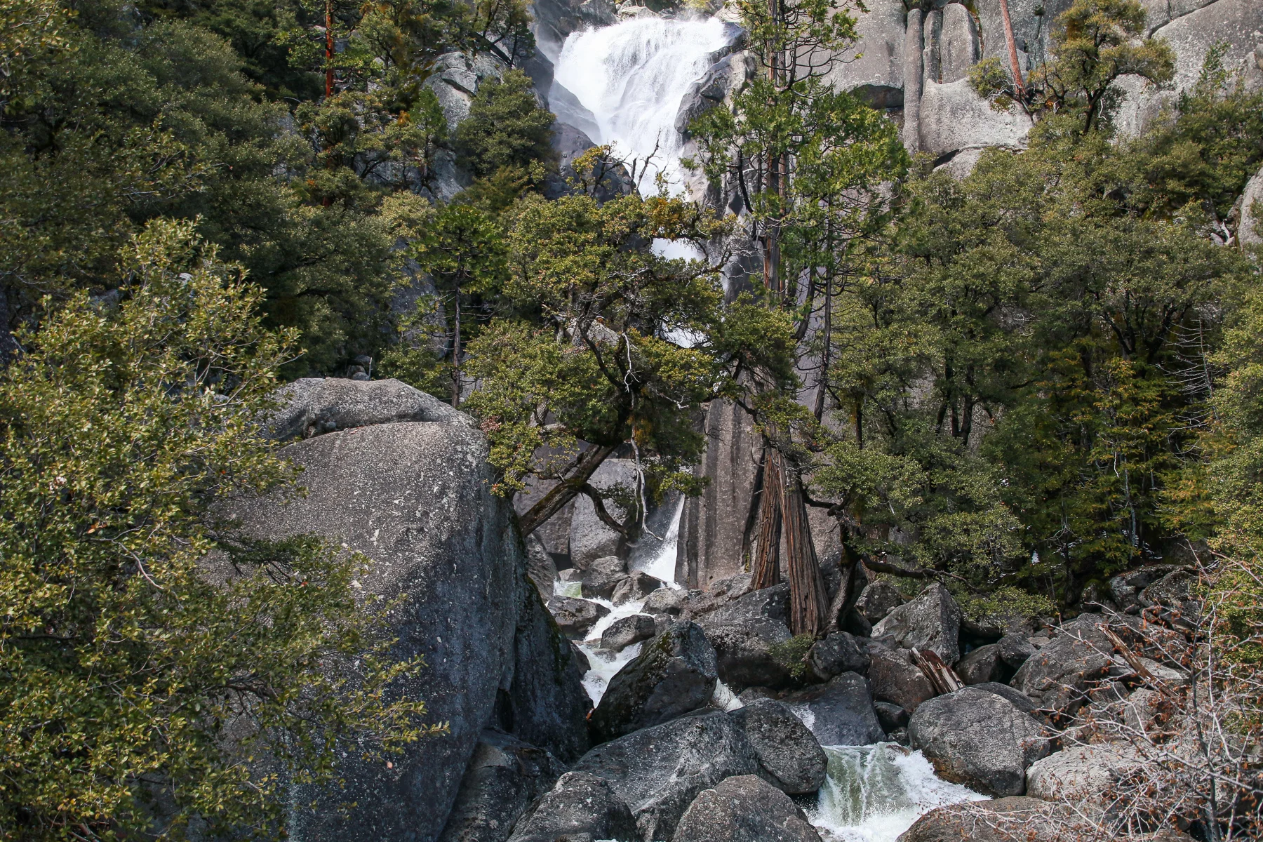 20-CA-yosemite20d.jpg