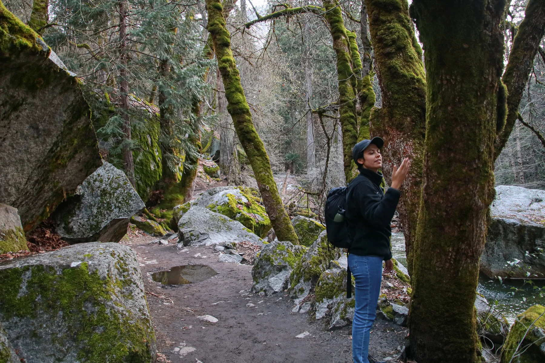 20-CA-yosemite39.jpg