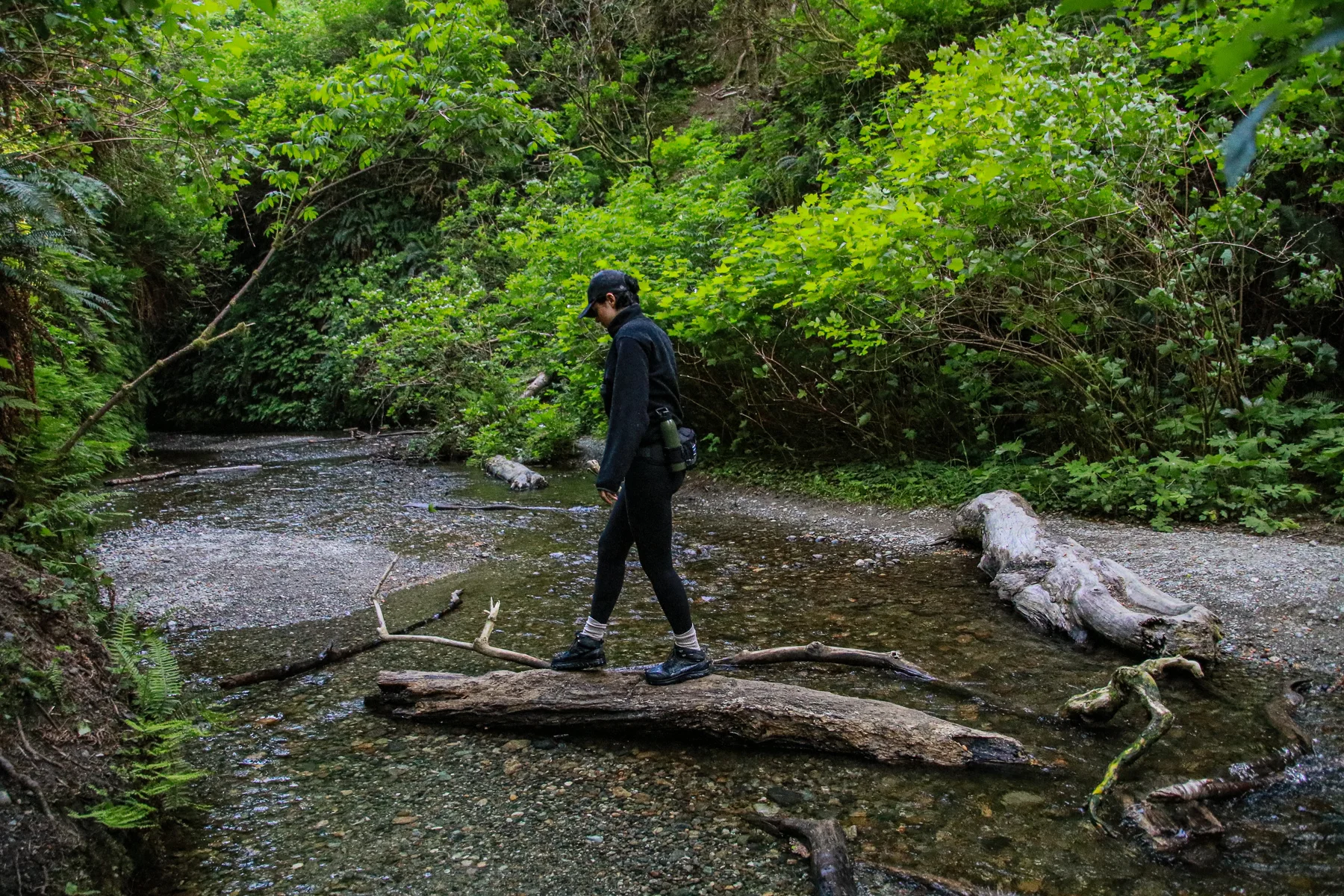 20-CA-redwoods05.jpg