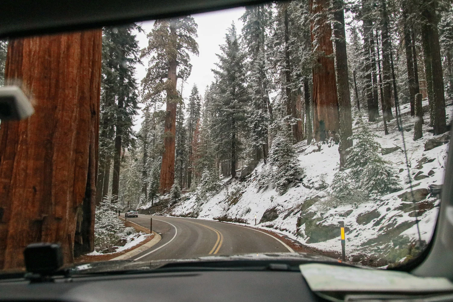 20-CA-sequoia10.jpg