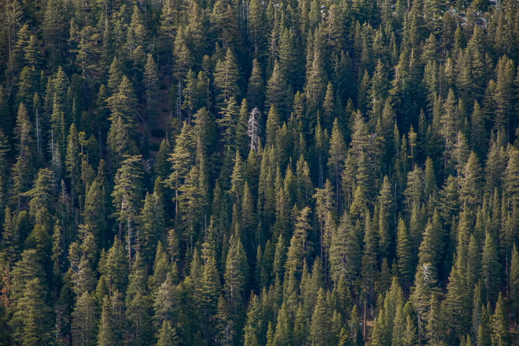 21-NV-journey06-laketahoe.jpg