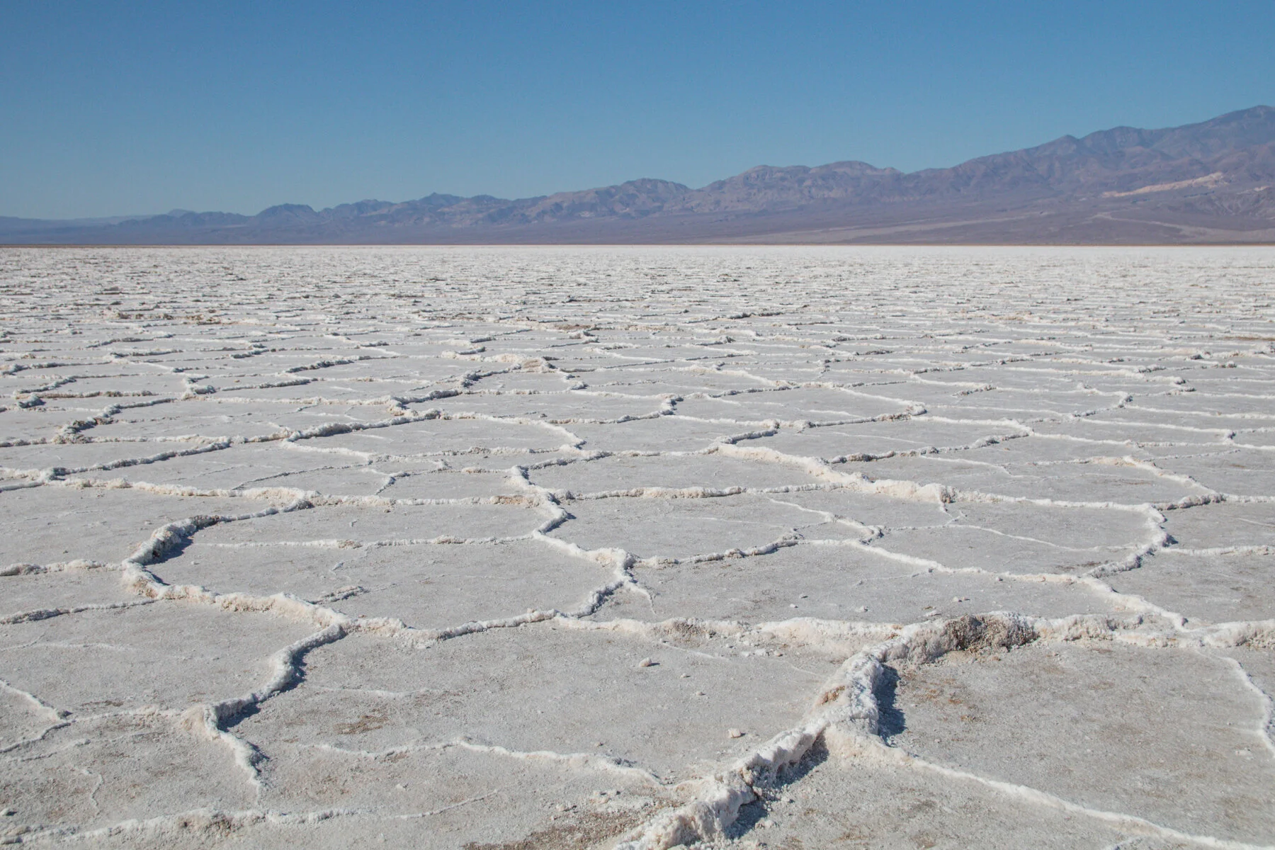 21-NV-journey120c.jpg
