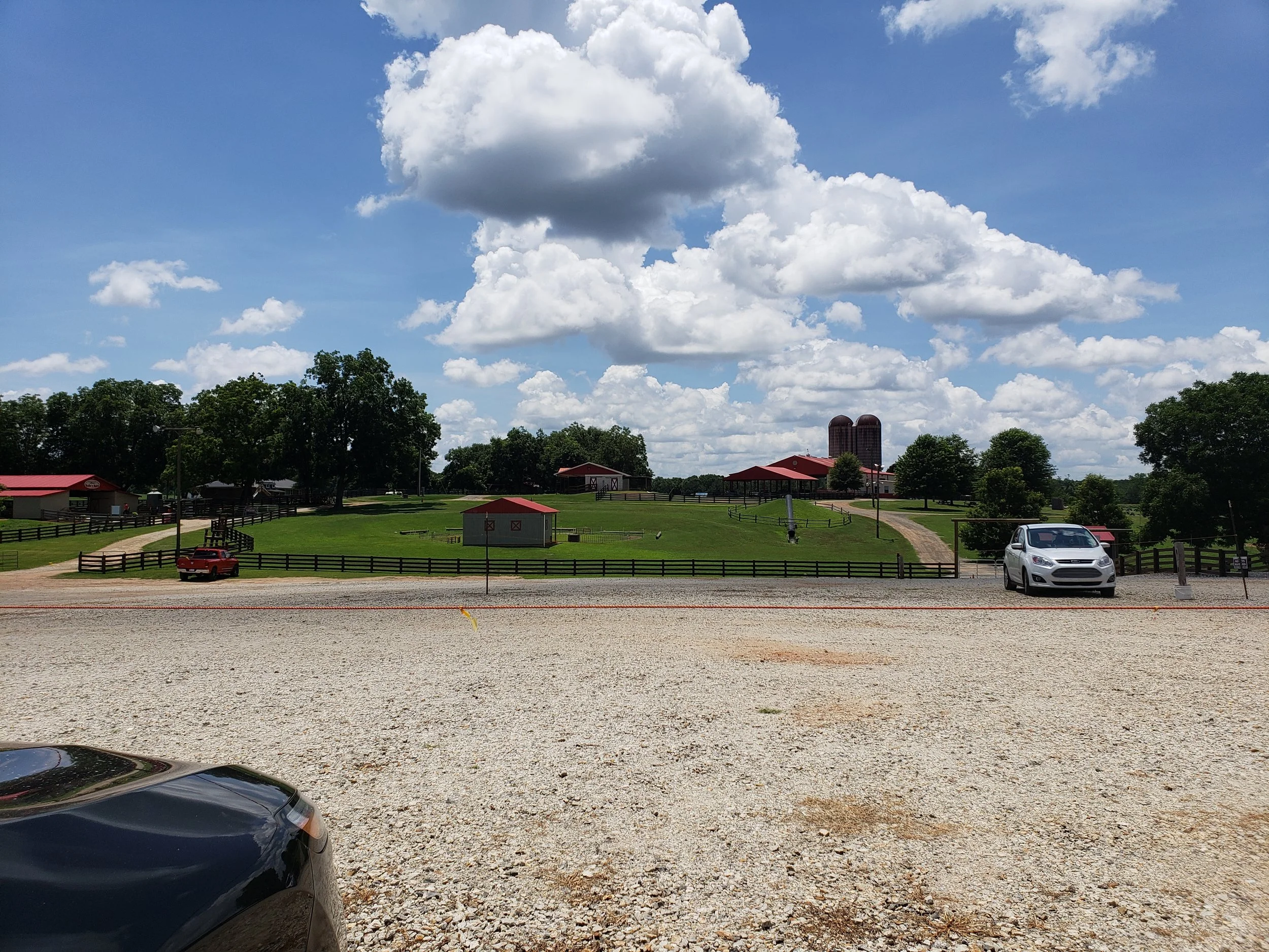 Southern Belle Farm