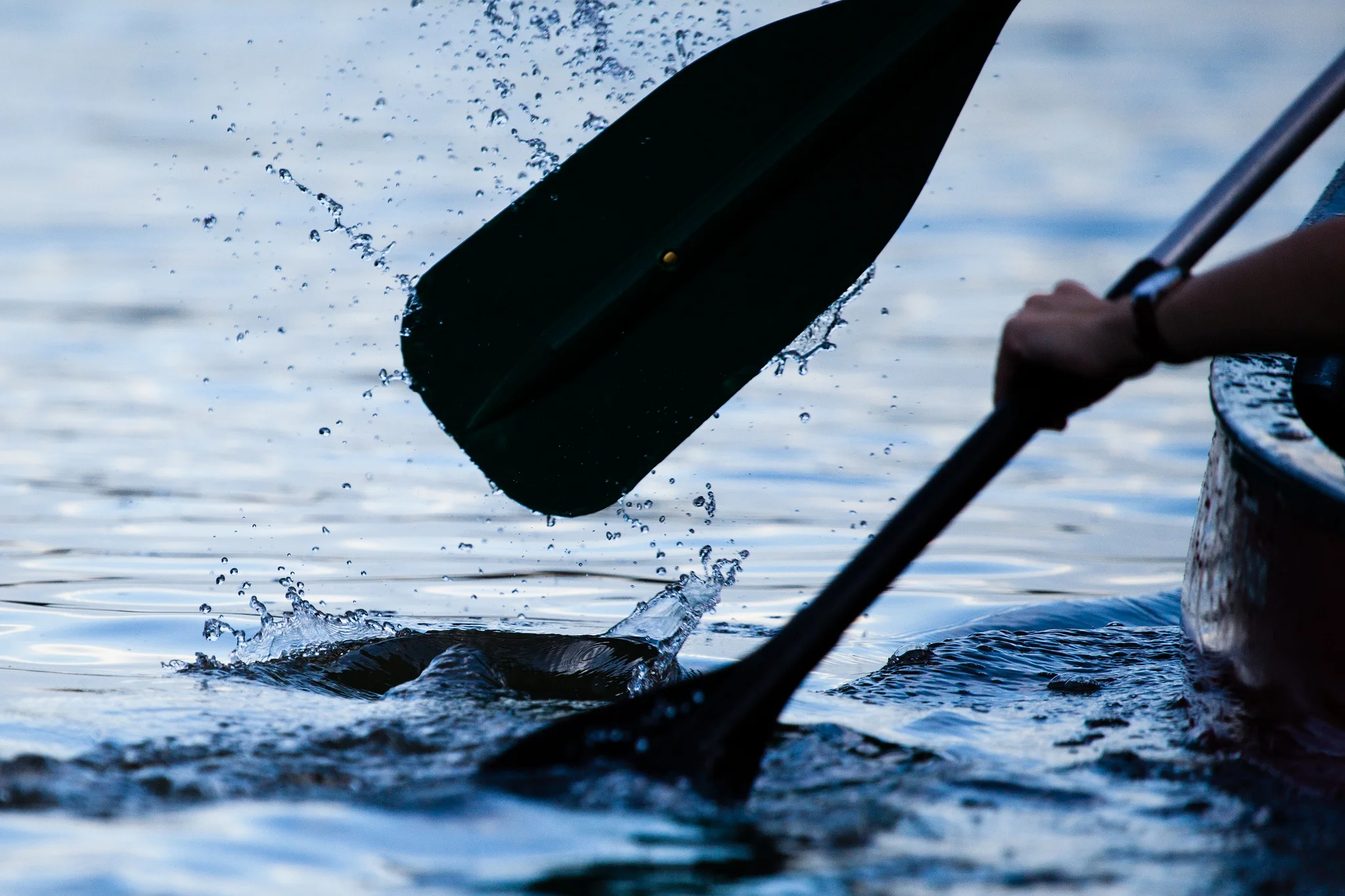 $73 Million for Chesapeake Bay Restoration