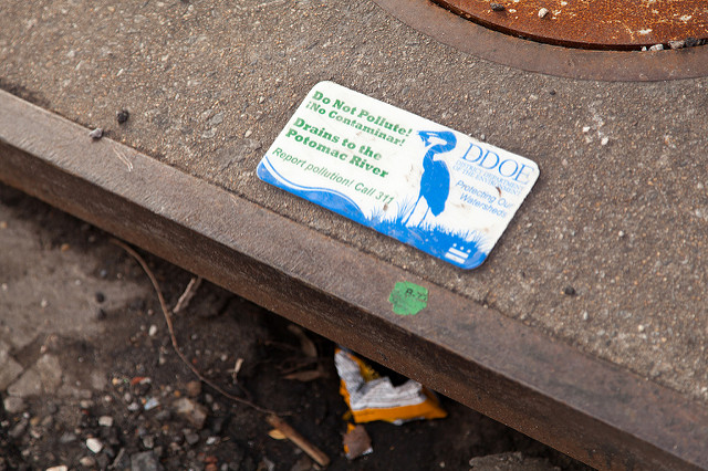 Photo: Chesapeake Bay Program