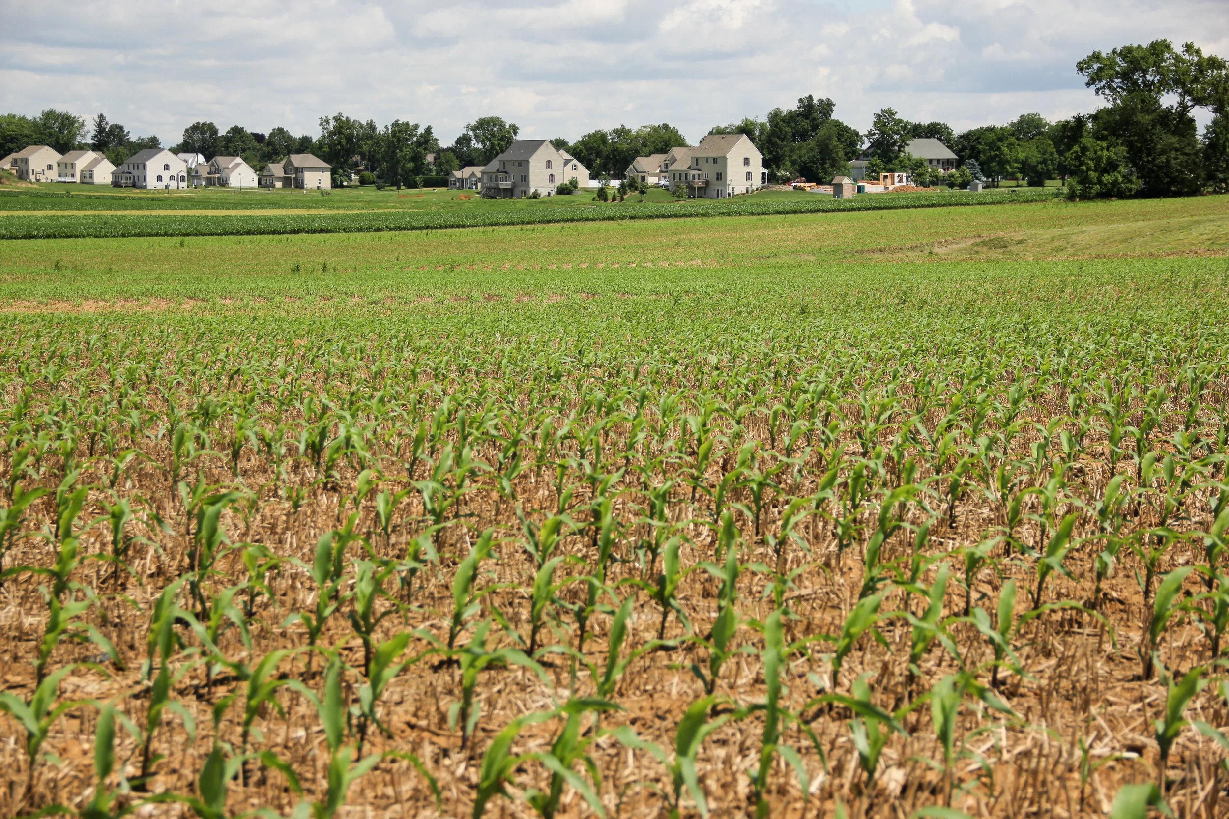 $28.8 Million for Agriculture Conservation in Pennsylvania