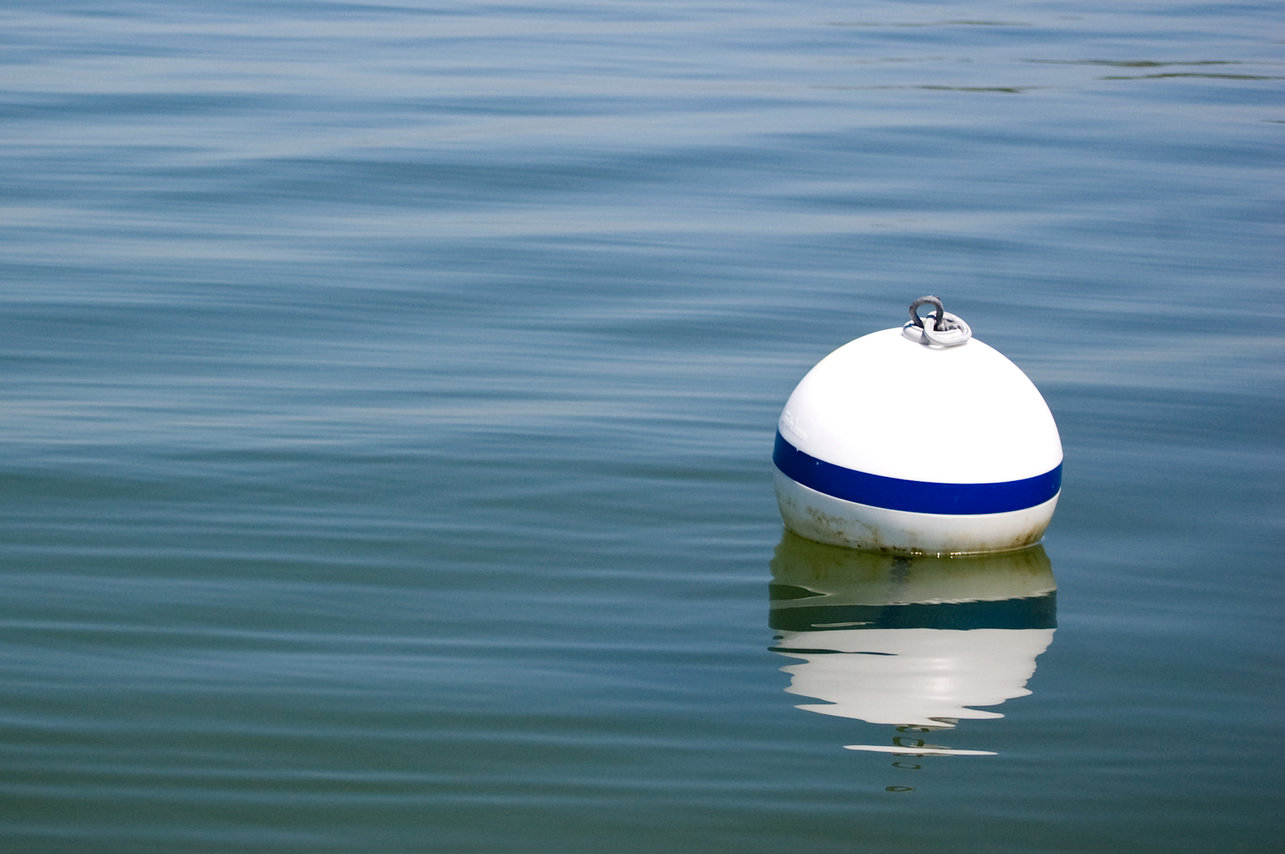 Photo: Chesapeake Bay Program