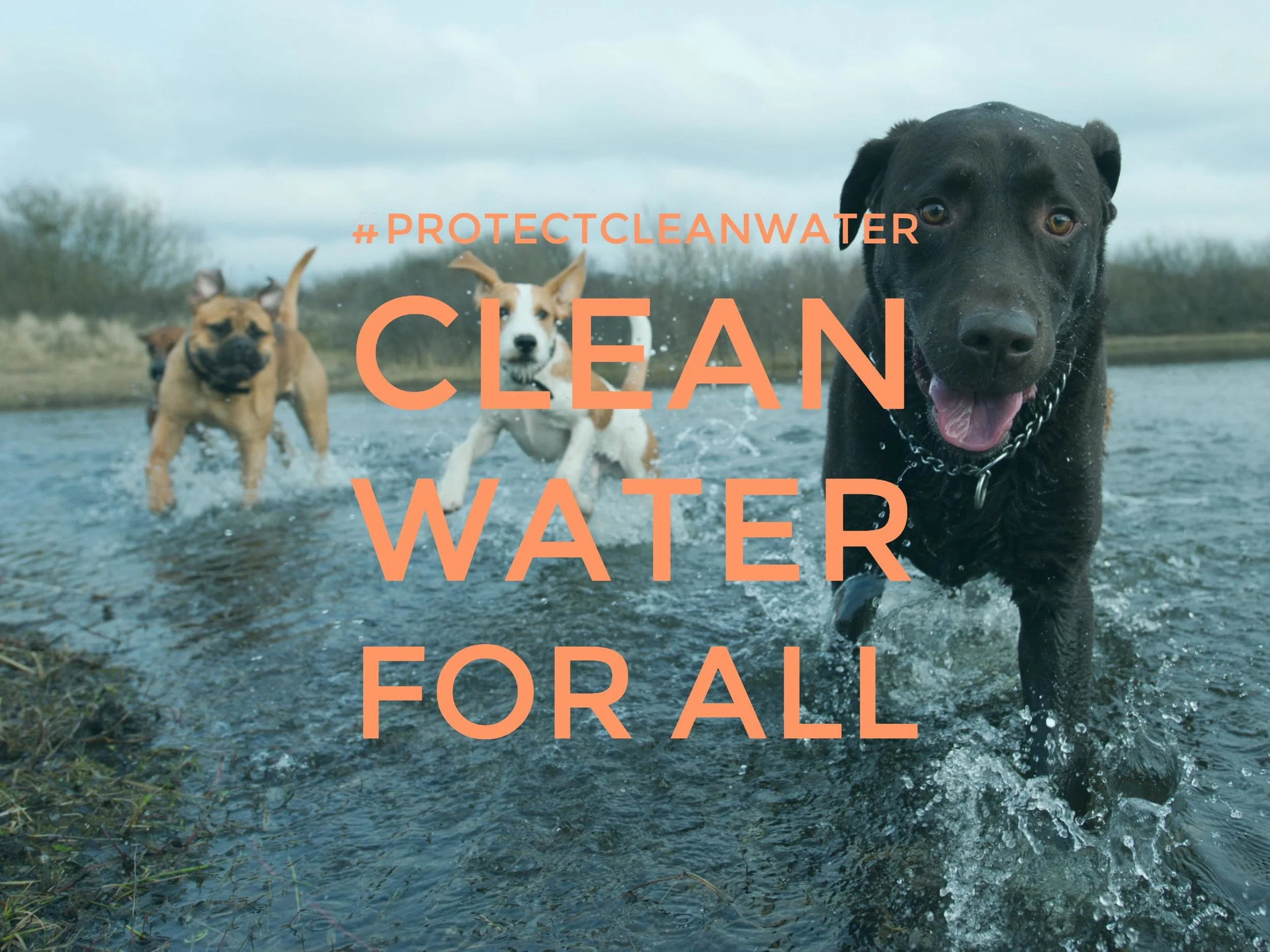 Clean Water for All NMA 2.jpg