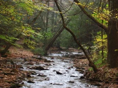 Tuquan-Glen-stream.jpg