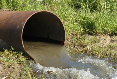 Toxic Runoff in Maryland