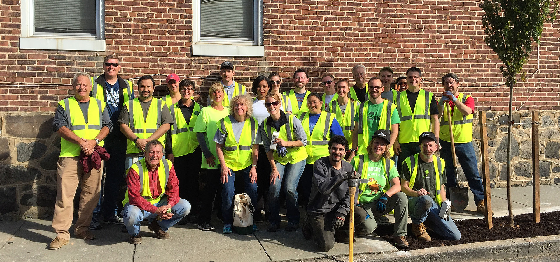 Photo courtesy of Baltimore Tree Trust