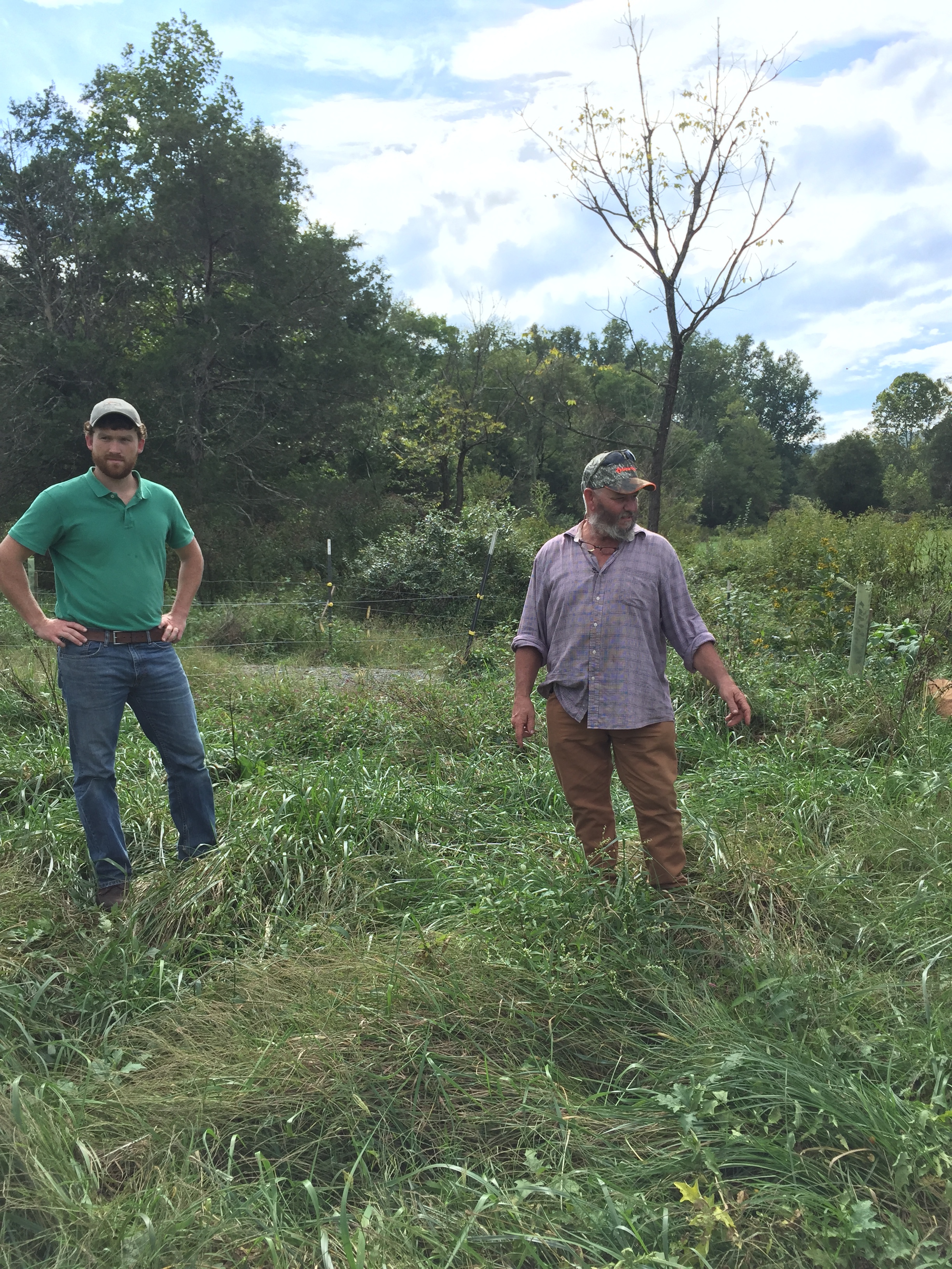  Luke Longanecker, Thomas Jefferson Soil and Water Conservation District and Tony Pullaro, Edgemont Farm, standing in a buffer that was started in 2017. 