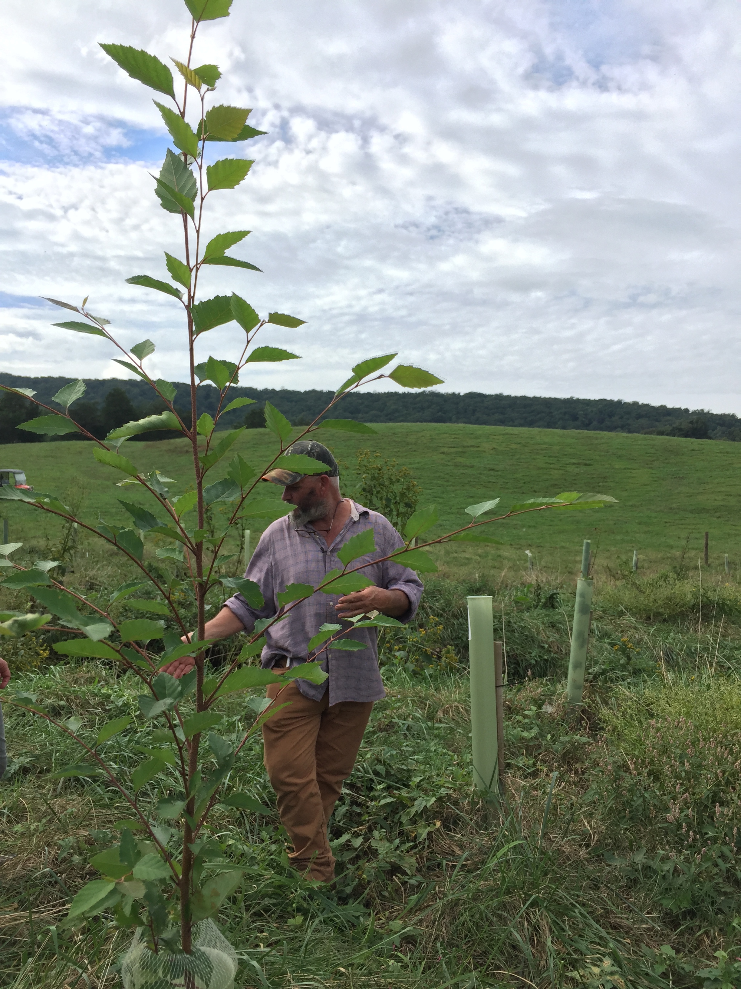  Trees were already starting to take off and the grasses had already returned to the fenced off area. These will help provide shade and stability to the creek, while also helping to filter out pollution from the farm land nearby. 