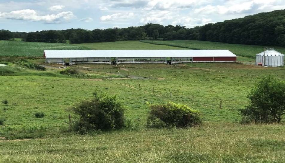  AFTER: New roofed heavy use area at Weaver Family Farm in Centre County, Pennsylvania. Photo by John Wataha. 
